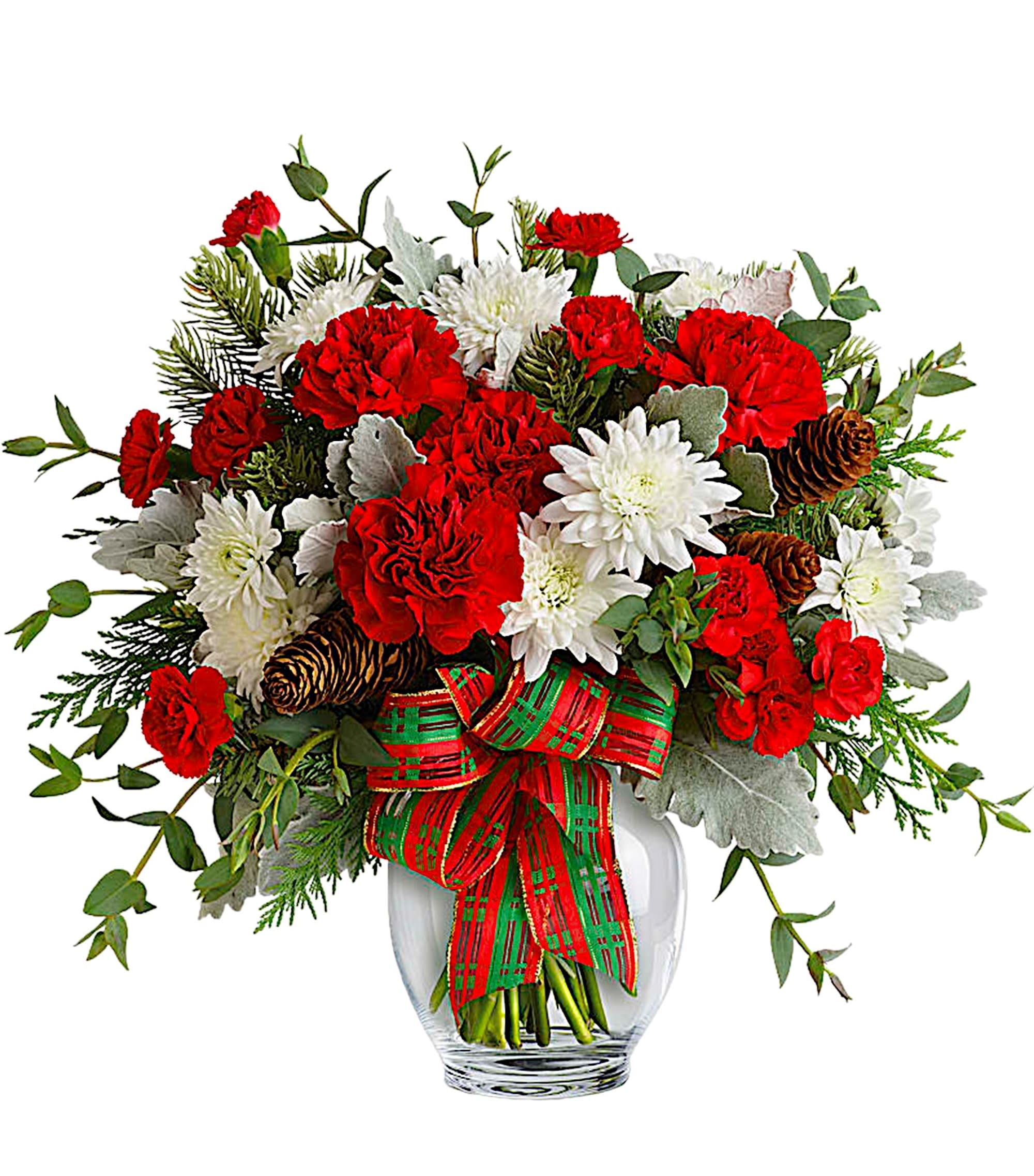Holiday Shine - Give the gift of holiday style with this mix of Christmas crimson and winter white blooms, all wrapped up with a festive plaid ribbon in a classic glass vase.  DETAILS This bold arrangement includes red carnations, red miniature carnations, white cushion spray chrysanthemums, flat cedar, noble fir, dusty miller, parvifolia eucalyptus, small pinecones and ribbon.  VASE INCLUDED Orientation: One-Sided Item #NF-799  FLORIST-TO-DOOR Same day flower delivery on most orders placed online by 12 pm or 10 am on weekends PST.  BLOOM DETAILS Roses (Standard size does not include roses) Carnations Mini-Carnations Cushion-Mums Greenery  The Standard Arrangement is approx. 15&quot;H x 16&quot;W.  The Deluxe Arrangement is approx. 15 1/2&quot;H x 16&quot;W. The Premium Arrangement is approx. 16 1/2&quot;H x 17 1/2&quot;W.  How to place an order? 1. You can place an order directly on this secure website OR 2. You can call in your order by dialing: (323) 262 - 9238 OR 3. You can visit our store (appointment recommended 323.262.9238)  NINFA'S FLOWERS 2405 WHITTIER BLVD. LOS ANGELES, CA. 90023