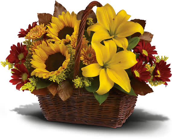 GOLDEN DAYS BASKET GOLDEN DAYS BASKET - Send warm autumn sunshine to a special friend or relative with this golden gift basket of flowers. Yellow lilies and sunflowers make everyone smile! A dark, handled basket presents bright fall bouquet of yellow asiatic lilies, yellow sunflowers, gold cushion mums, burgundy daisies, yellow solidaster, brown copper beech leaves and rich green salal.