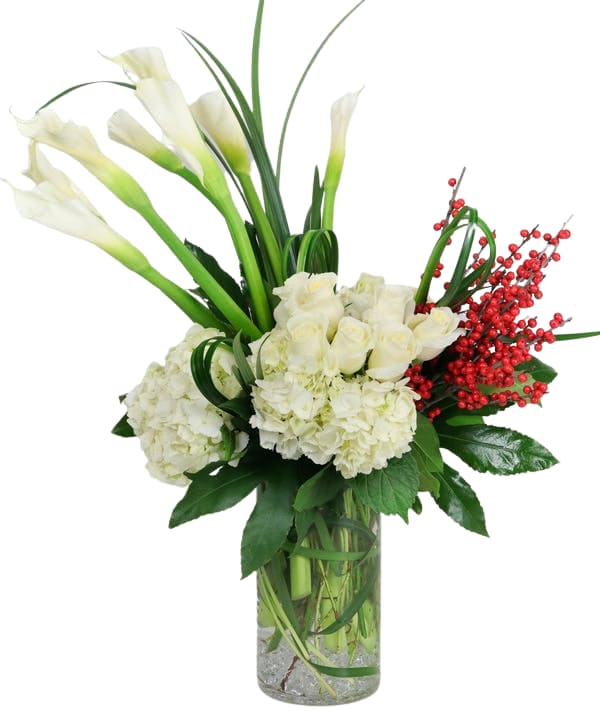 Contemporary Christmas  - A contemporary Christmas arrangement with Calla, Hydrangea and Ilex Berries. Substitutions may need to be made due to market conditions