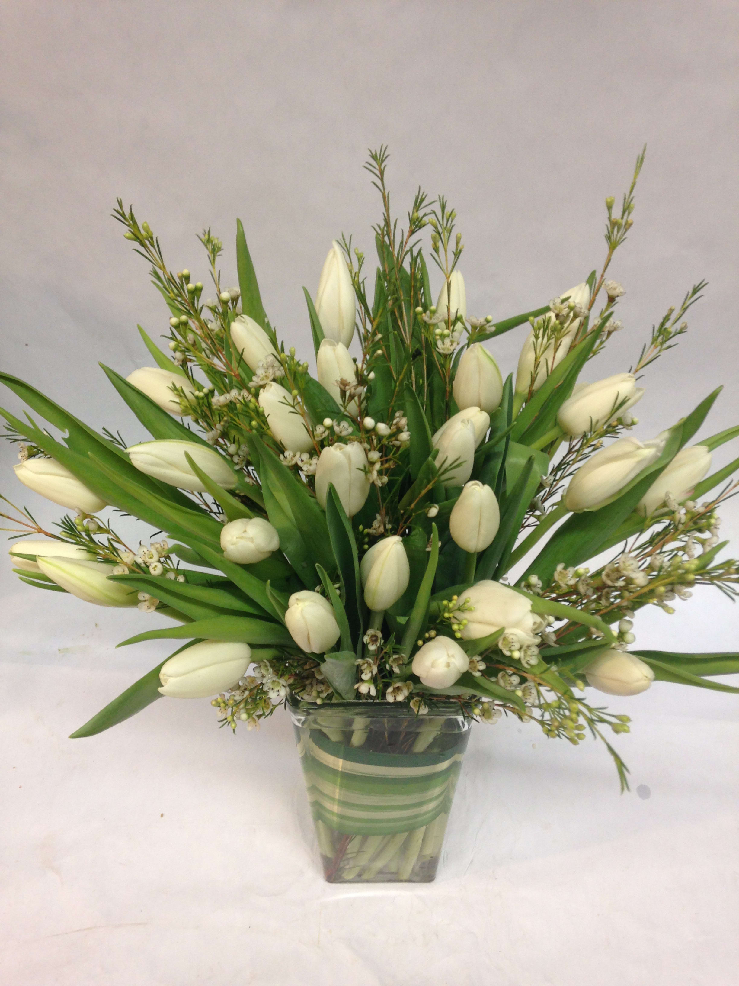 Shining Bright Winter Tulip Arrangement Shining Bright Winter Tulip Arrangement - A gorgeous selection of thirty all white tulips with wax filler in a leaf-wrapped vase.