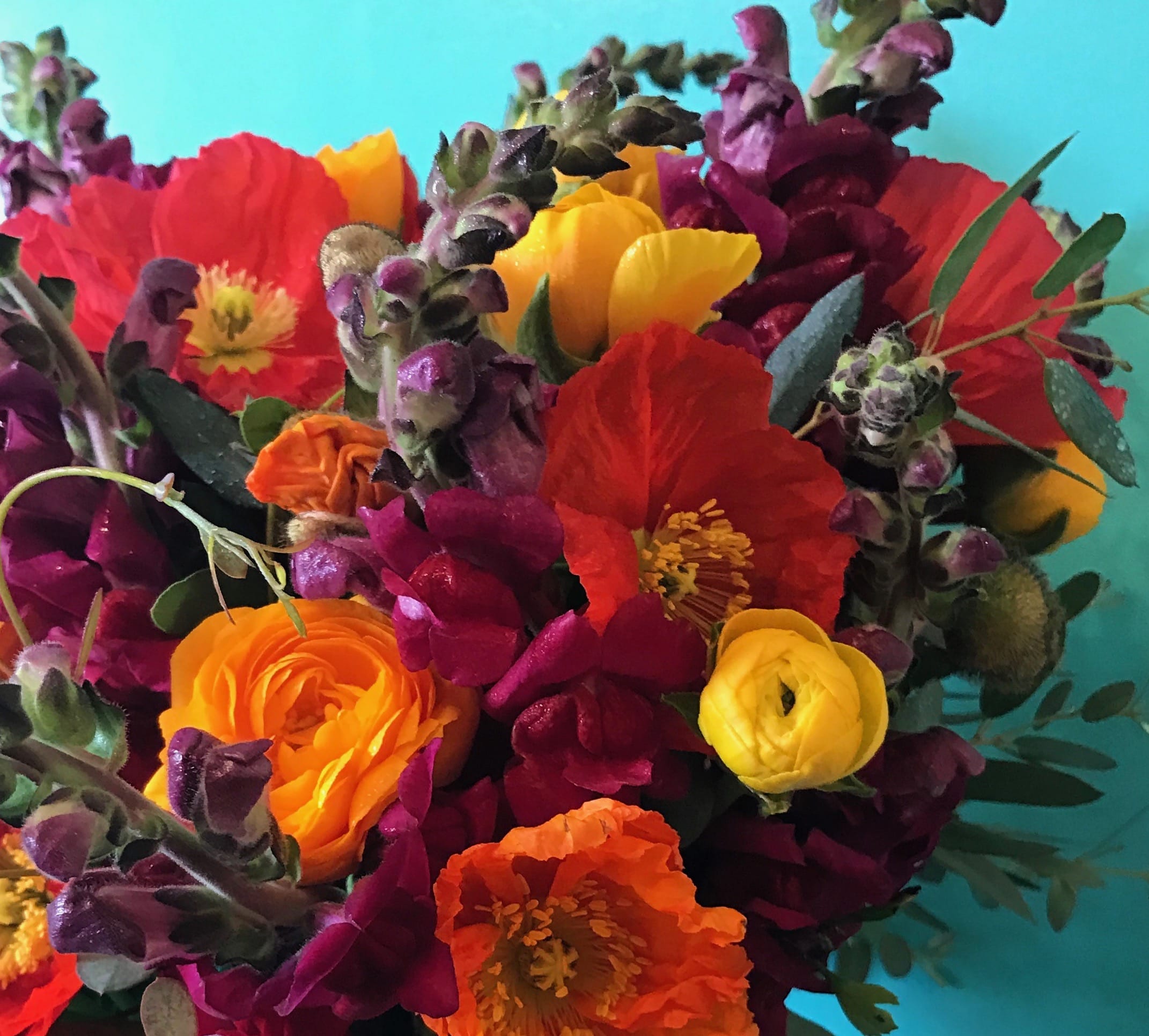 Tones of Vibrant and Bold Blooms - Let The Plum Dahlia create the perfect custom gift in shoes of bold, jewel tone and vibrant seasonal blooms. Choose your budget and the perfect seasonal blooms will come together just for you and your recipient. 