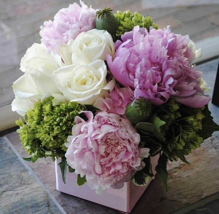 Glorious Peonies - White roses, green hydrangeas, pink peonies all arranged in ceramic vase.
