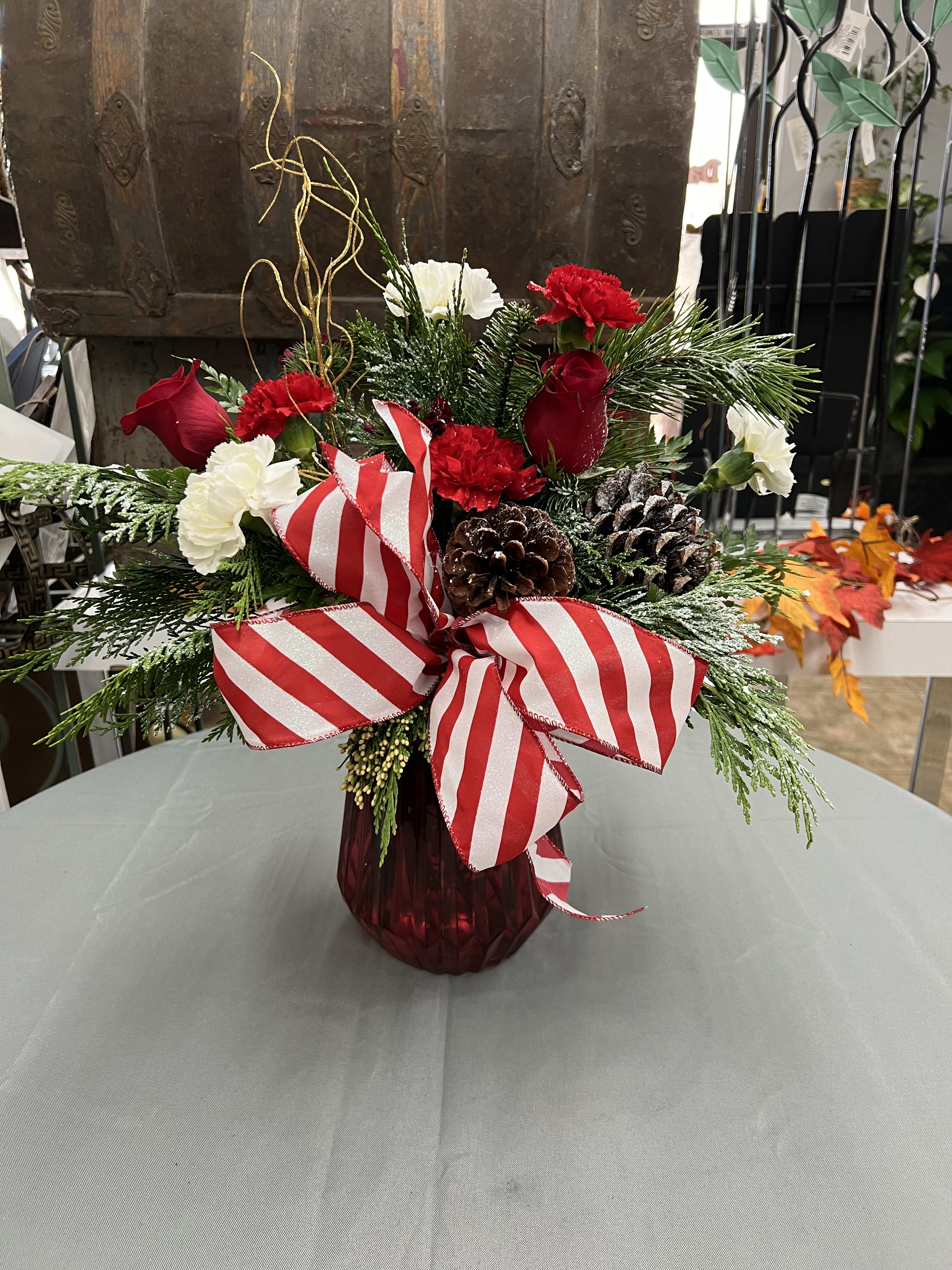 Candy Cane by Daisy - Carnations with roses and Christmas greens with pine cones.