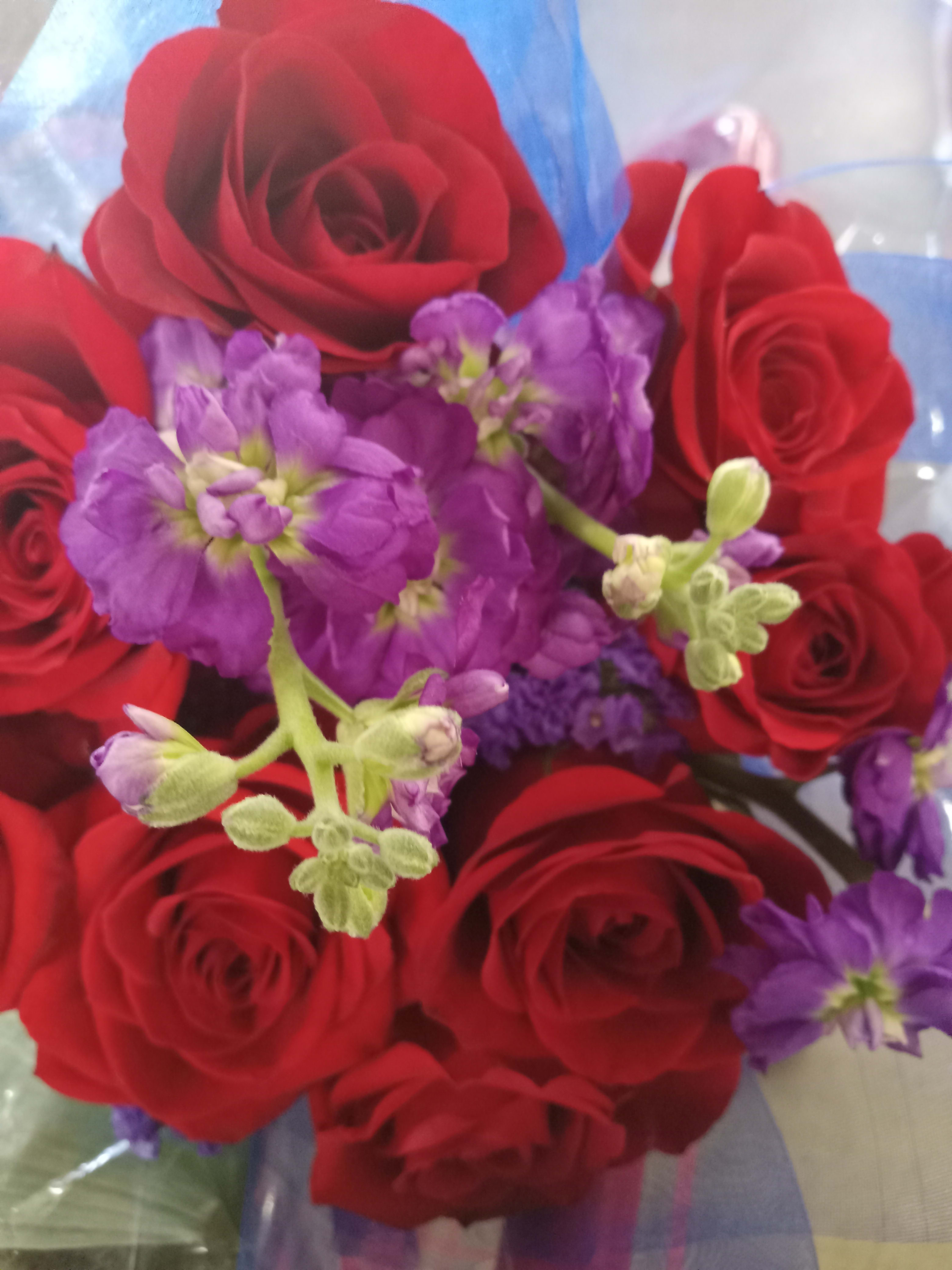 RED LOVE RED LOVE - RED ROSES WITH PURPLE FLOWERS.