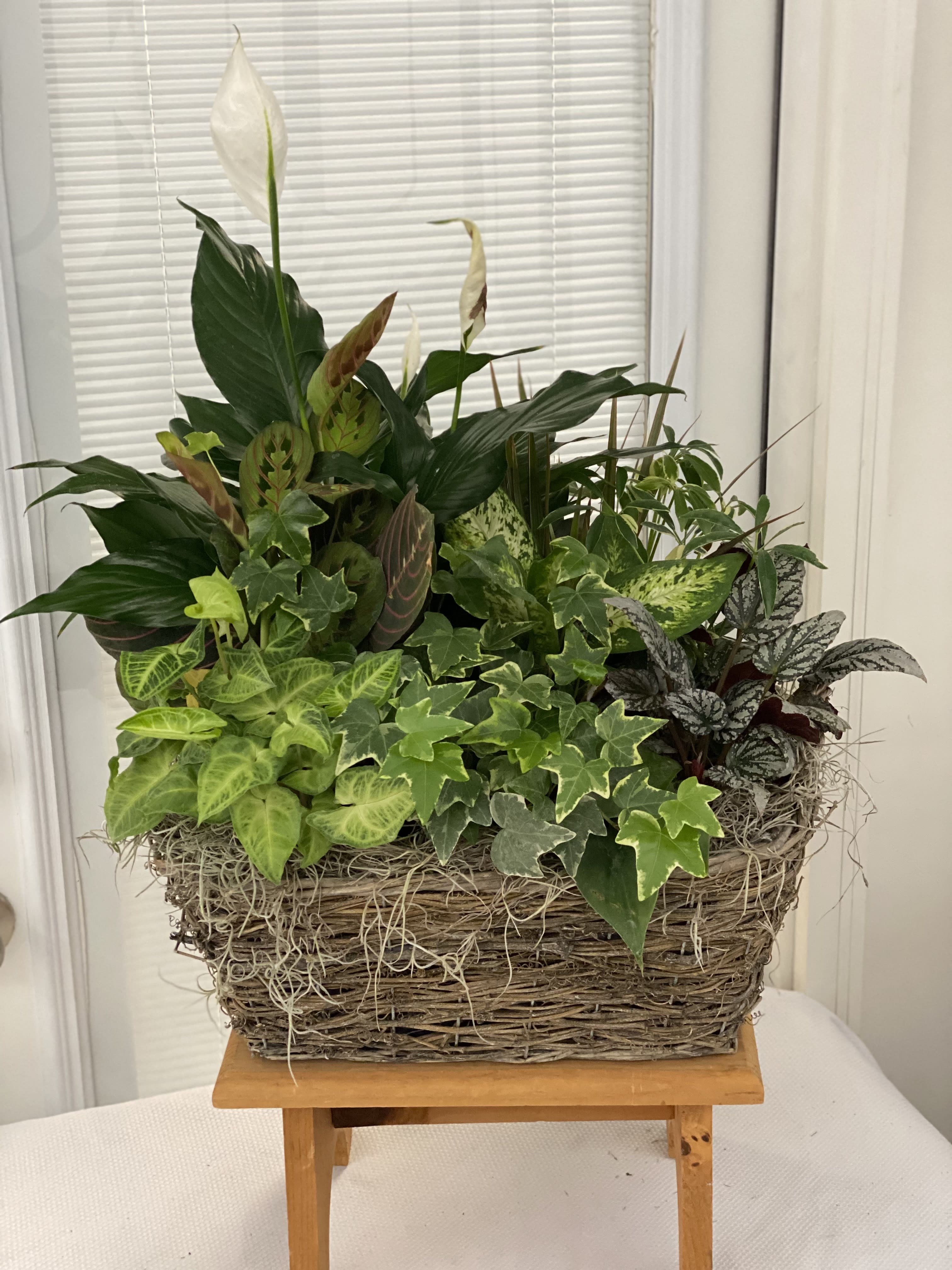 Chic Dish Garden Chic Dish Garden - Chic Dish Garden