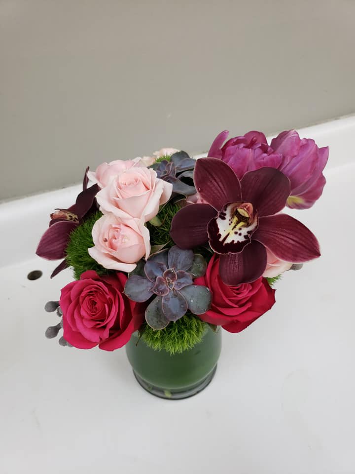 Wild and Crazy - Beautiful blooms from deep hues...always roses and orchids succulents