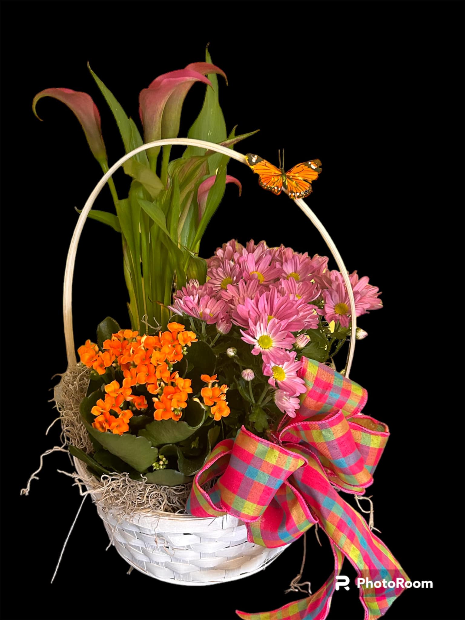BLOOMING DISH GARDENS - BRINGING A LITTLE SUNSHINE INSIDE!!