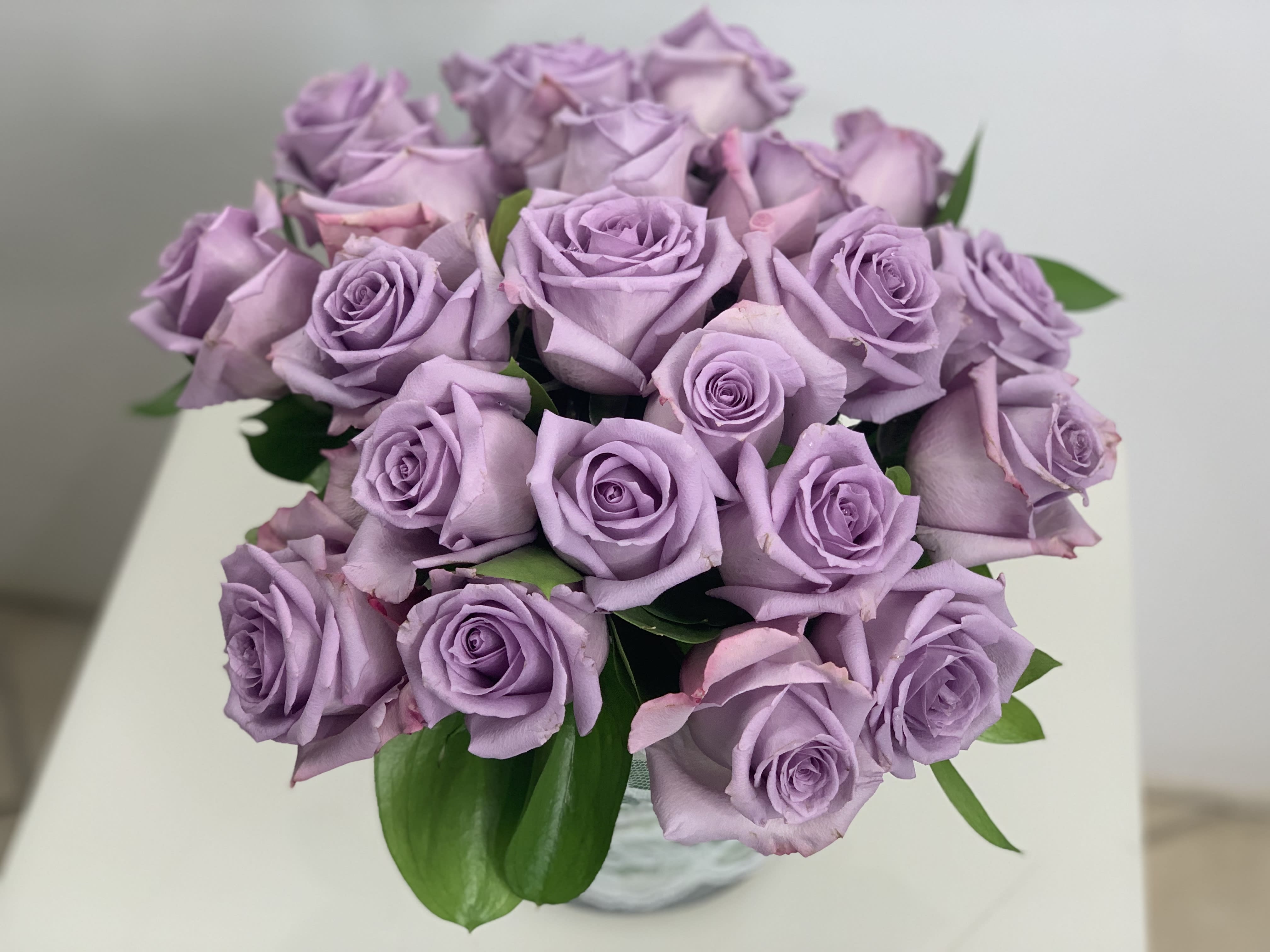 Lavender and Lace - These lavender roses are stunning arranged in a cylinder vase for your delight. Next day delivery. 