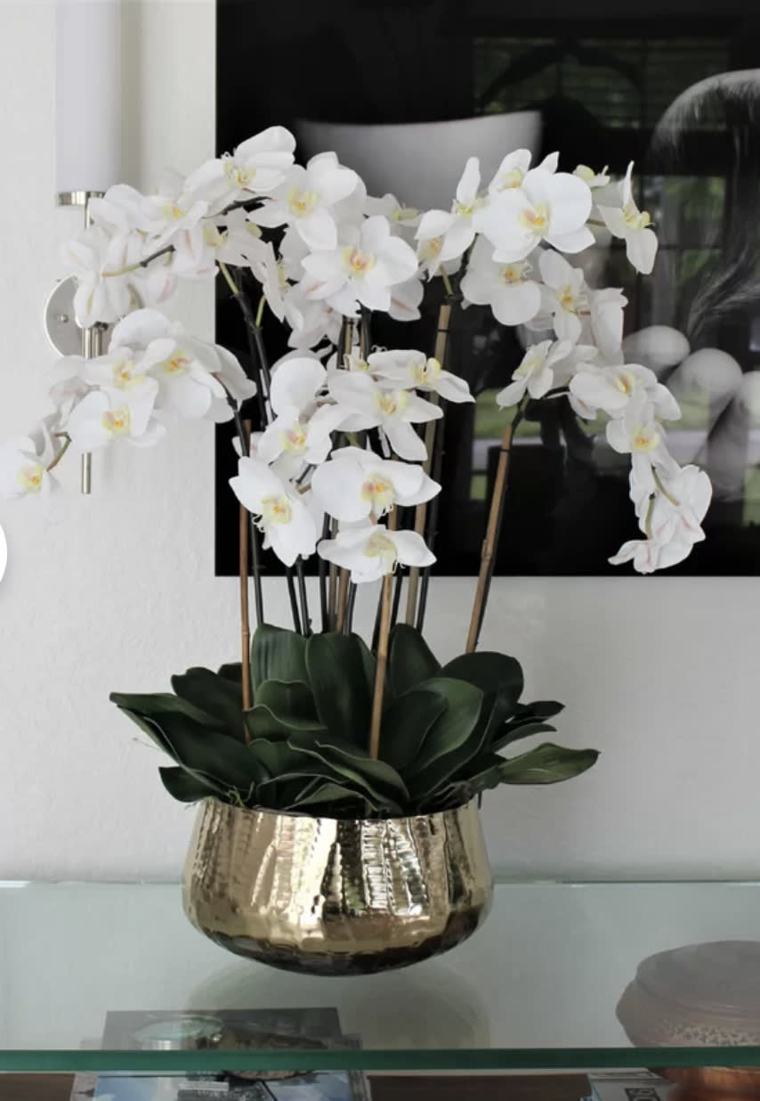 Phalaenopsis  Orchid Silver Bowl  - This will last and continue to impress. Full size and luxury style.  Next day delivery is available. 