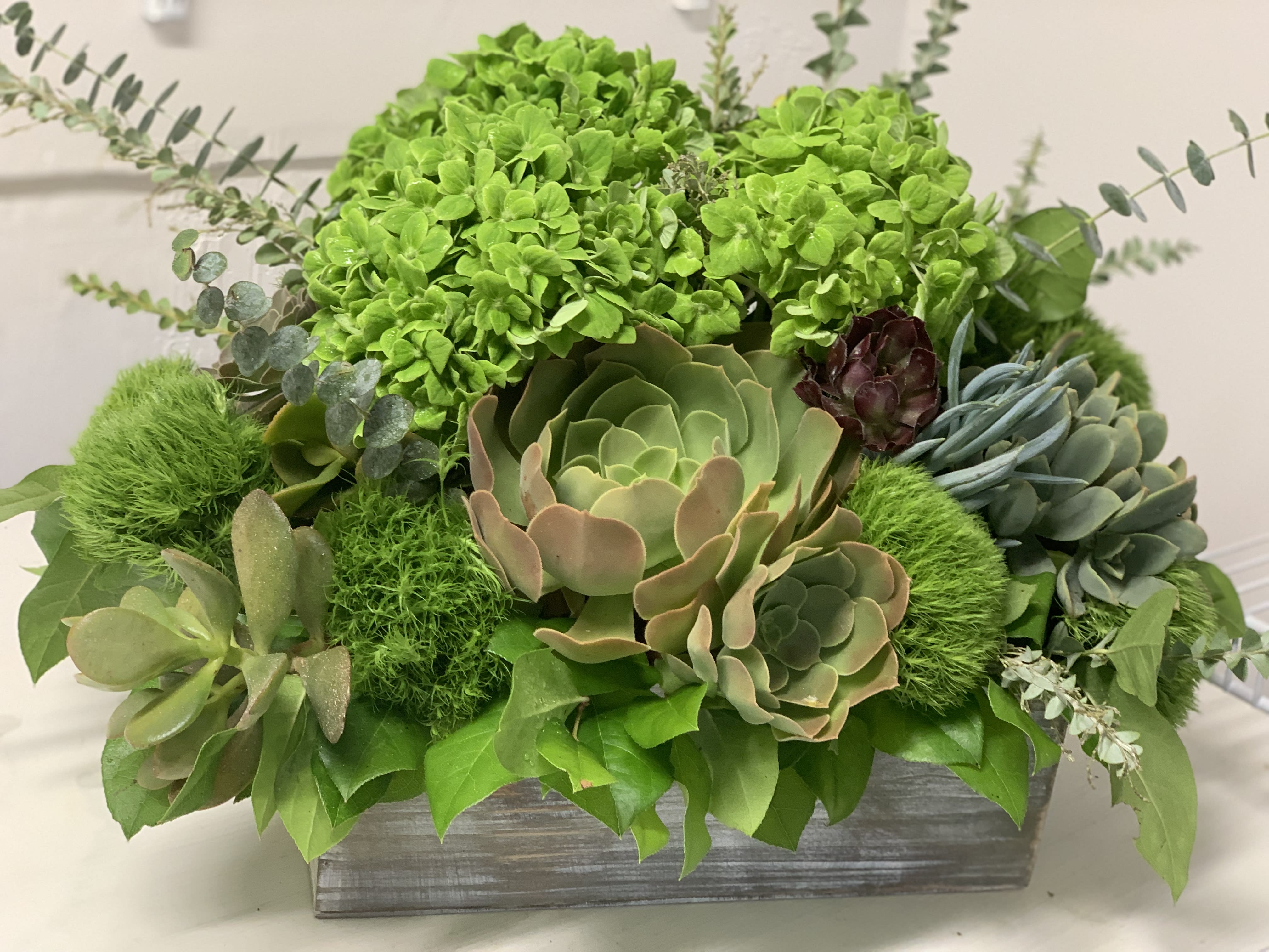 Green, Natural and Lasting  - Something green, natural and lasting. A piece of nature at your home. This arrangement is full size will last for a good while and… you can replant succulents afterwards.    In some instances, our photo may represent an overall theme or look and include a one-of-a-kind vase which cannot be exactly replicated.  Although the actual bouquet may not precisely match the photo, its temperament will. Occasionally, substitutions of flowers and/or containers happen due to weather, seasonality and market conditions which may affect availability. If this is the case with the gift you’ve selected, we will ensure that the style, theme and color scheme of your arrangement is preserved and will only substitute items of equal value or higher value.  DELIVERY TIMES ARE USUALLY BETWEEN 2:30 PM THROUGH 6:30PM ON THE DAY OF DELIVERY. FOR SAME DAY ORDERS, PLEASE GIVE US AT LEAST 6 HOURS TO PROCESS AND DELIVER THE FLOWERS AS PRIOR ORDERS WILL BE PRIORITIZED. MORNING DELIVERY REQUESTS AND SPECIFIC TIME REQUESTS WILL BE AN ADDITIONAL $15 FOR A CONVENIENCE FEE CHARGE. OTHERWISE, SPECIFIC TIMES ARE ACKNOWLEDGED AND WE WILL DO OUR BEST TO ACCOMMODATE, HOWEVER WE CANNOT GUARANTEE ON TIME DELIVERY. GATE CODES ARE MANDATORY FOR OUR DELIVERY DRIVERS TO BE ABLE TO ENTER RESIDENTIAL OR COMMERCIAL BUILDINGS. IF YOU DON’T KNOW THE GATE CODE FOR A DELIVERY, PLEASE CONTACT THE RECIPIENT AND PROVIDE US WITH IT OR OUR DRIVER CAN CONTACT THE RECIPIENT BEFORE BEGINNING A DELIVERY ROUTE TO OBTAIN THE CODE. OUR POLICY STATES THAT DRIVERS WILL ONLY WAIT FIVE MINUTES OUTSIDE THE GATE FOR A CALLBACK. IF A DRIVER HAS TO LEAVE A PROPERTY, THE DELIVERY IS REASSIGNED FOR THE NEXT DAY AND MAY CHARGE AN ADDITIONAL DELIVERY FEE. THANK YOU FOR YOUR BUSINESS.