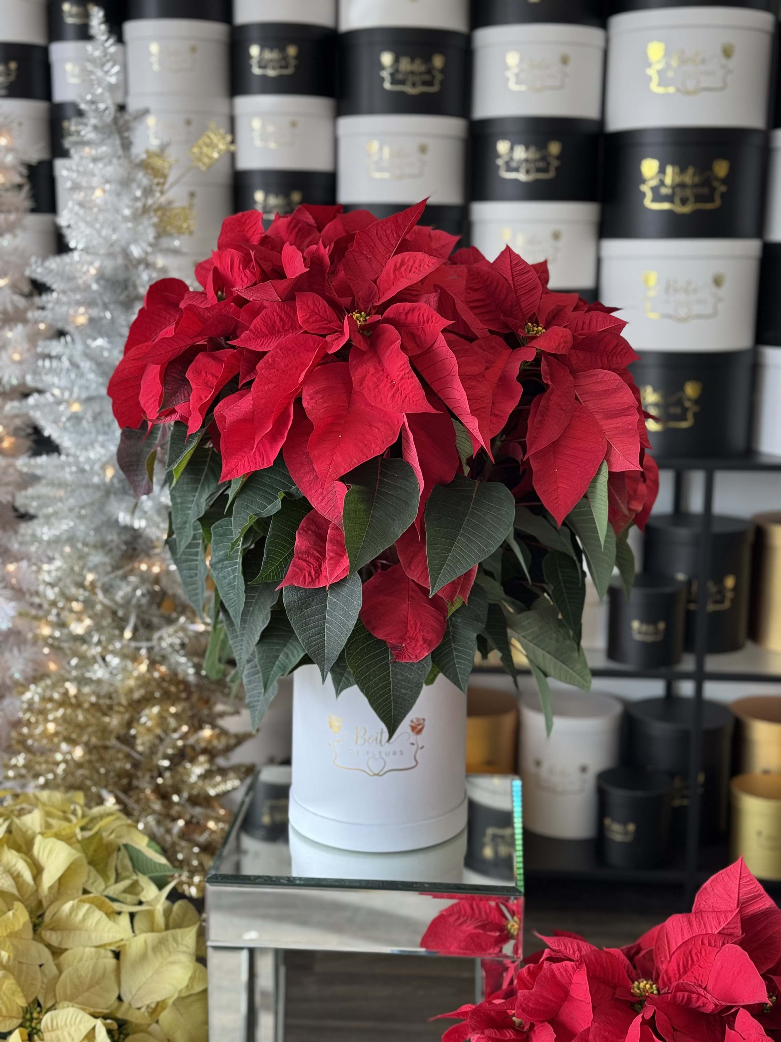 Poinsettia 25&quot; - A beautiful red poinsettia standing 25&quot; tall. In the comments make sure to notate what color box you'd like it in, Red, Gold, or Black.