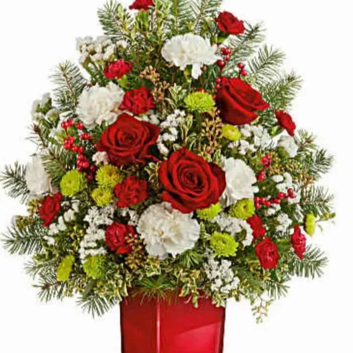 Radiant Winter Tree Radiant Winter Tree - his mini Christmas tree bouquet features white carnations, miniature red carnations, green button spray chrysanthemums, white sinuata statice, seeded eucalyptus, oregonia, and douglas fir. Delivered in Teleflora's Scarlet Color Splash Cube, it brings festive charm to any holiday celebration.