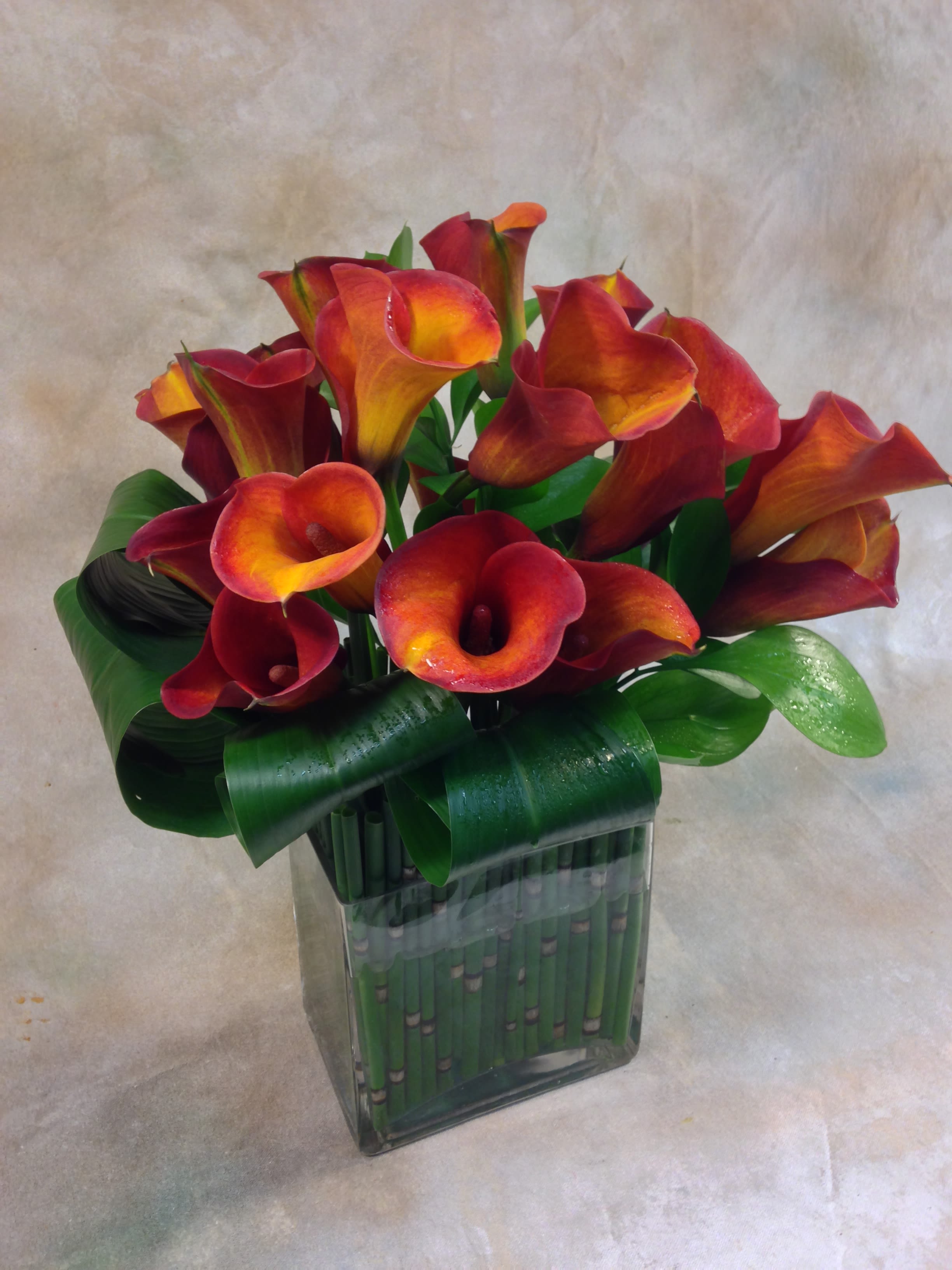 Bronzed Callas - Mango/bronze calla lilies in a rectangle vase with equisetum (horsetail fern) and aspidistra leaves. We can also do this in white, purple (eggplant), or yellow miniature callas. 