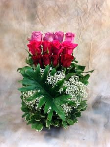 A Different Approach to Roses A Different Approach to Roses - A Different Approach to Roses
