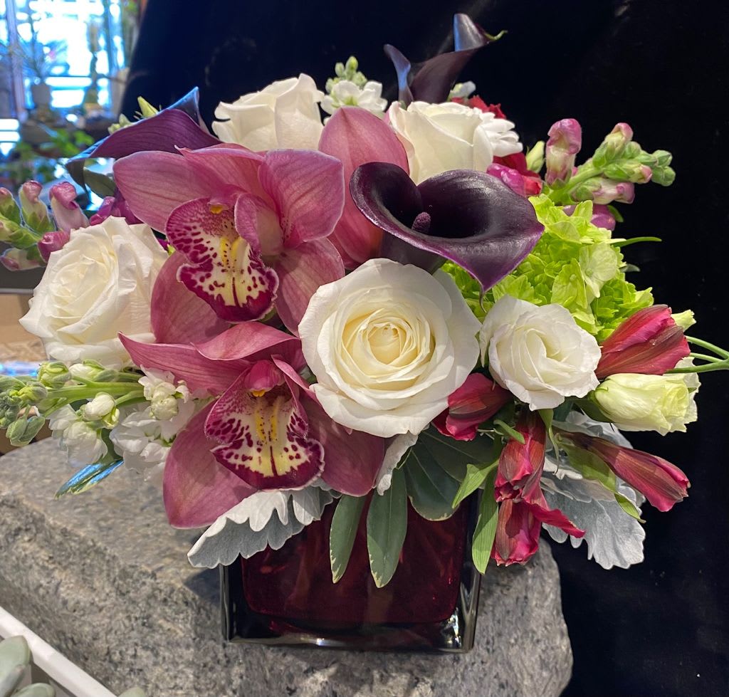 Cabernet Dreams Cabernet Dreams - Luxury abounds in this richly-hued large glass cube, the color of a fine Caberrnet wine. Premium white roses, Cymbidium orchids and snapdragons keep good company with showstopping deep, dark purple calla lilies. Classy, exotic, and rich in every way! For your Valentine. (This is a large arrangement. Approximatelly 10-12" tall and wide)