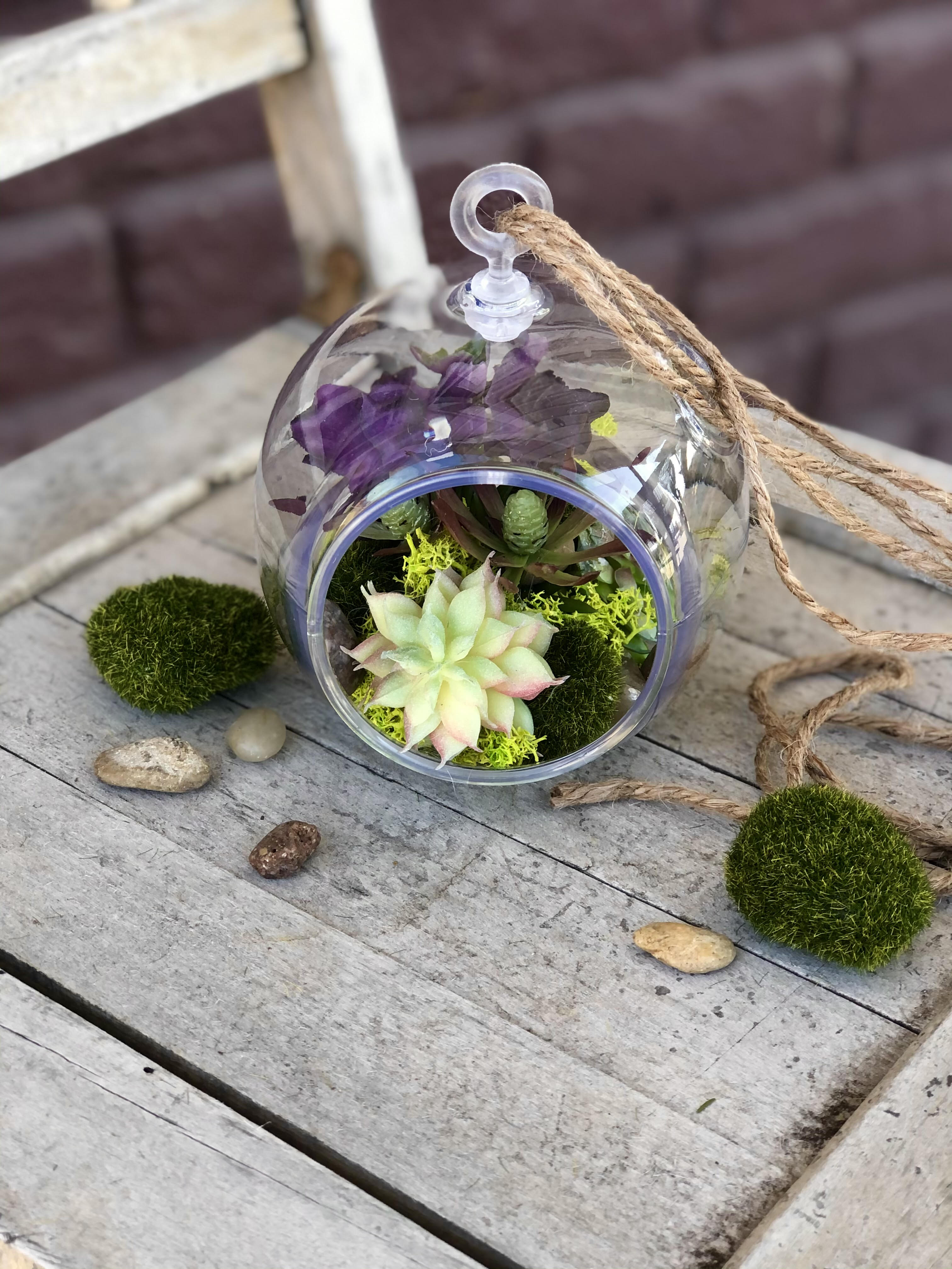 DIY succulent Terrarium DIY succulent Terrarium - You will have all the supplies boxed just for you to create this one of a kind succulent terrarium. Directions provided in the box as well.