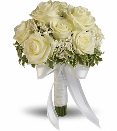 Lacy Rose Bouquet - T186-2A Lacy Rose Bouquet - T186-2A - Delicate white bouvardia and pittosporum lend a lacy look to this breathtaking bouquet of white roses wrapped with sheer organza ribbon. White roses and bouvardia contrasted by variegated pittosporum.Approximately 9" W x 11 1/2" H Orientation: N/A As Shown : T186-2A