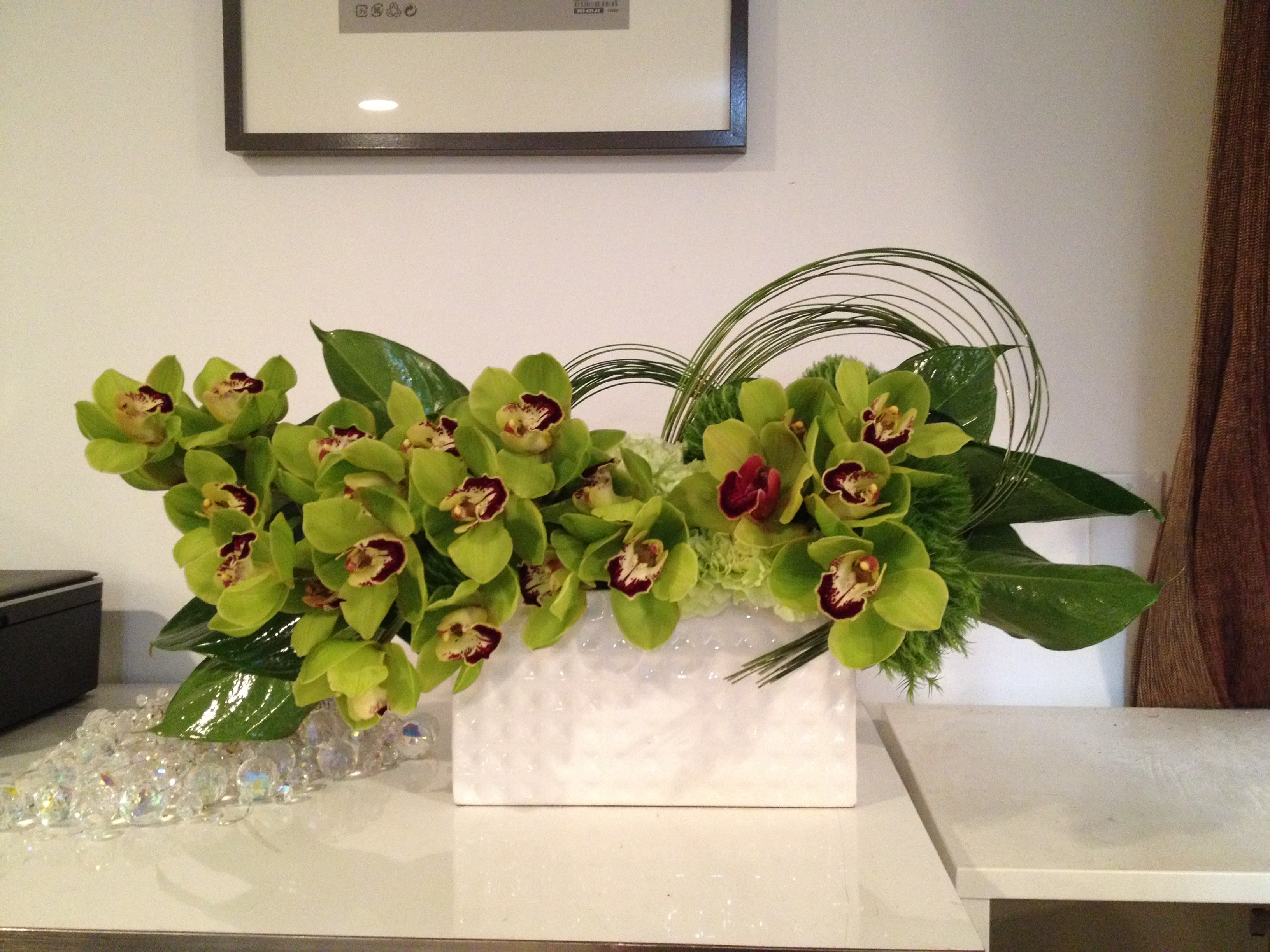 Green lime  - green cimbidium 