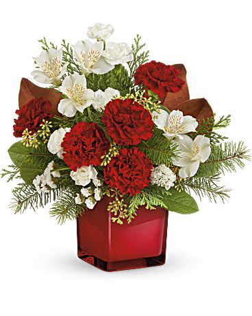 Scarlet Splendor Bouquet - Elevate their holiday spirits with this timeless Christmas carnations bouquet in a scarlet glass cube. These festive flowers are sure to bring the joy of the season to every corner of your home! This festive Christmas arrangement features white alstroemeria, red carnations, miniature white carnations, white sinuata statice, seeded eucalyptus, lemon leaf, magnolia leaves, cedar, and douglas fir. Delivered in Scarlet Color Splash Cube, it adds a touch of holiday cheer to any setting.