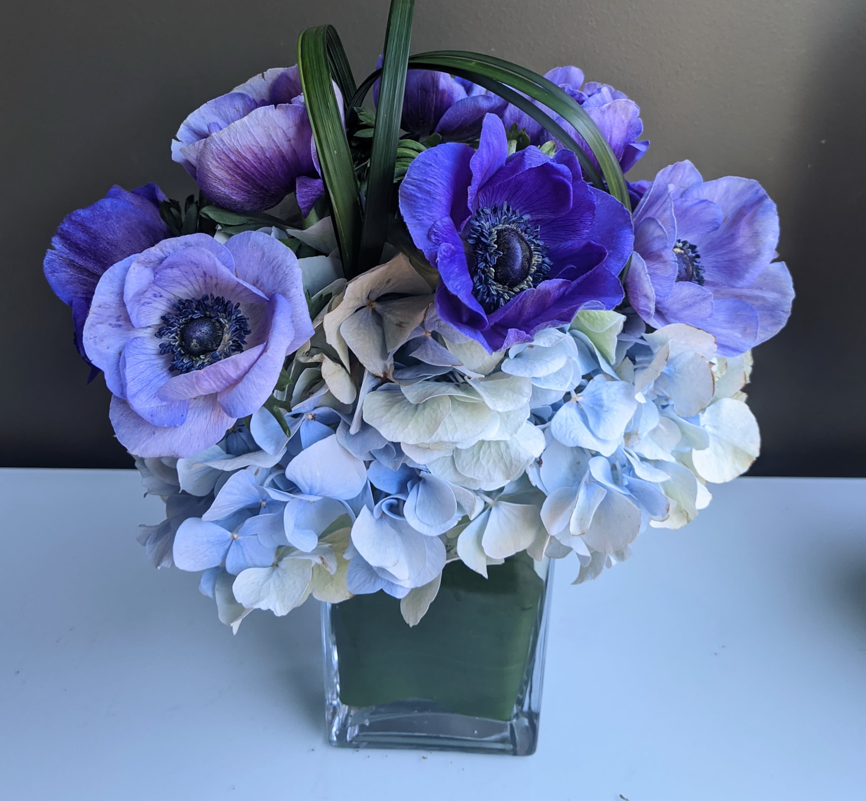 Petit Vased Baby Blue Anemones and Hydrangea  - This petit arrangement features blue hydrangea and gorgeous dutch anemones in a classic cropped hedge. 