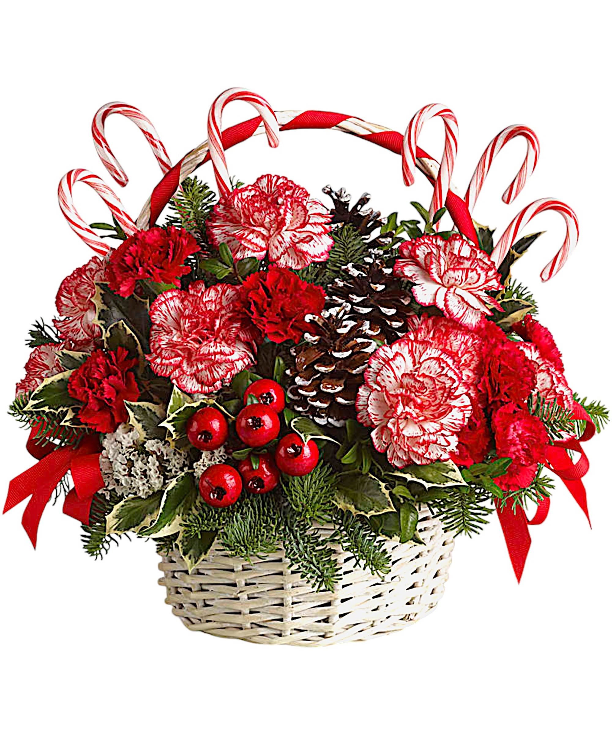Candy Cane Christmas Basket Arrangement - Take a walk through a candy cane forest with this fun, festive basket! This Christmas floral arrangement stars unique peppermint carnations and edible candy canes amongst fragrant fir, pinecones and berries. It's an easy way to send the Christmas spirit to someone far away!  DETAILS Peppermint and red carnations, variegated holly, noble fir and white statice, then decorated with frosted pinecones, edible candy canes, berries and red ribbon.  BASKET INCLUDED Orientation: All-Around Item #NF-936  FLORIST-TO-DOOR Same day flower delivery on most orders placed online by 12 pm or 10 am on weekends PST  BLOOM DETAILS Carnations Statice Holly Christmas Greens  The Standard Arrangement is approx. 13 1/4&quot; H x 14 1/4&quot; W The Deluxe Arrangement is approx. 14&quot; H x 14 1/2&quot; W The Premium Arrangement is approx. 15&quot; H x 16&quot; W  How to place an order?  1. You can place an order directly on this secure website. OR 2. You can call in your order by dialing: (323) 262 - 9238. OR 3. You can visit our store (appointment recommended 323.262.9238)  NINFA'S FLOWERS 2405 WHITTIER BLVD. LOS ANGELES, CA. 90023  ATTENTION: *Please note that on busy holidays, Valentine's Day, and Mother's Day, we cannot verify if the recipient received the flowers until the following day. You can verify delivery on the website after 10:00 pm, call 323.262.9238 the following day after 10:00 am, or contact the recipient directly. Thank you for your patience and understanding.
