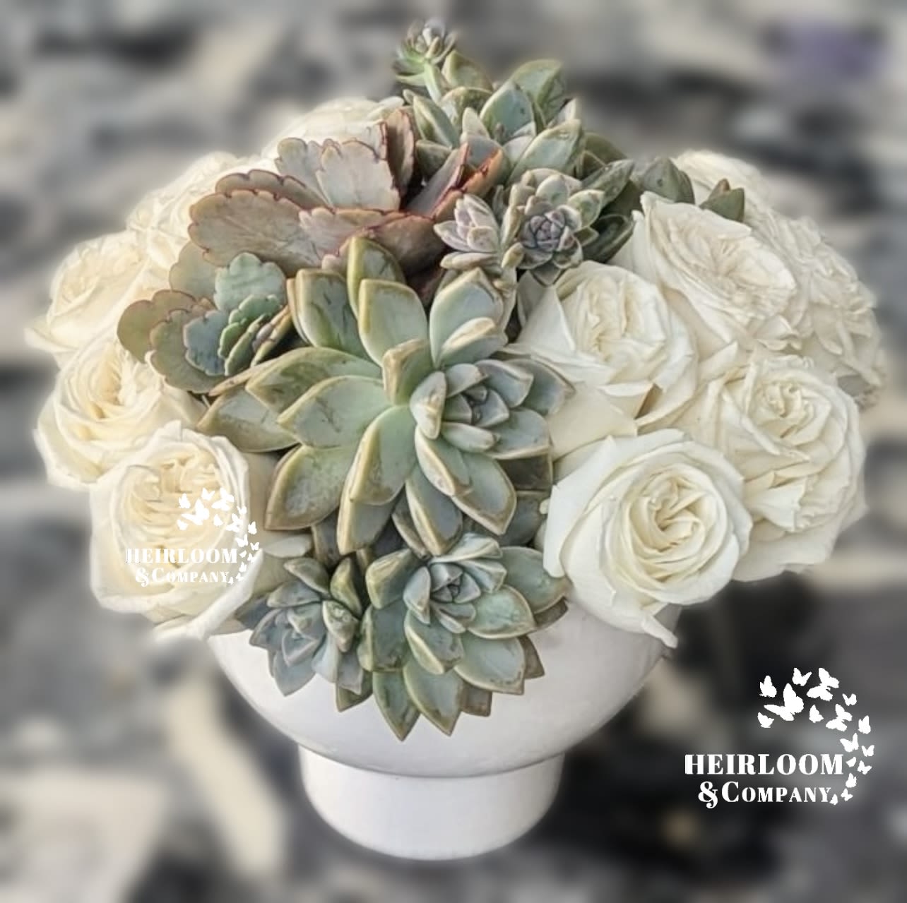 Elegant Contrast: A Fusion of Roses and Succulents - This arrangement features an elegant combination of white roses and a variety of lush green succulents, beautifully styled in a simple, modern white vase. The texture of the succulents complements the softness of the roses, creating a stunning balance between contemporary and classic design. Perfect for weddings, events, or as a sophisticated centerpiece for any space, this design exudes timeless charm and natural beauty. 