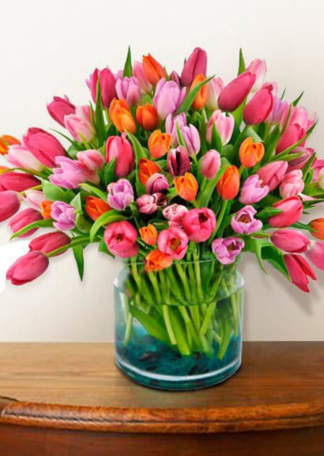 Vibrant Spring Tulip Medley Vibrant Spring Tulip Medley - Brighten any space with our stunning Vibrant Spring Tulip Medley, a lush arrangement of fresh, handpicked tulips bursting with lively hues of pink, orange, and purple. This eye-catching bouquet comes carefully arranged in a modern clear glass vase, allowing the natural beauty of the tulips' green stems to shine through. Perfect for celebrating new beginnings, birthdays, or simply adding a splash of color to your home, this tulip arrangement brings elegance and joy to any occasion. Carefully curated to showcase the season's finest blooms, it's an unforgettable gift that symbolizes love, cheer, and renewal. Standard Arrangement includes 100 Tulips packaged beautifully in Glass Vase Deluxe Arrangement 150 Tulips packaged beautifully in Glass Vase