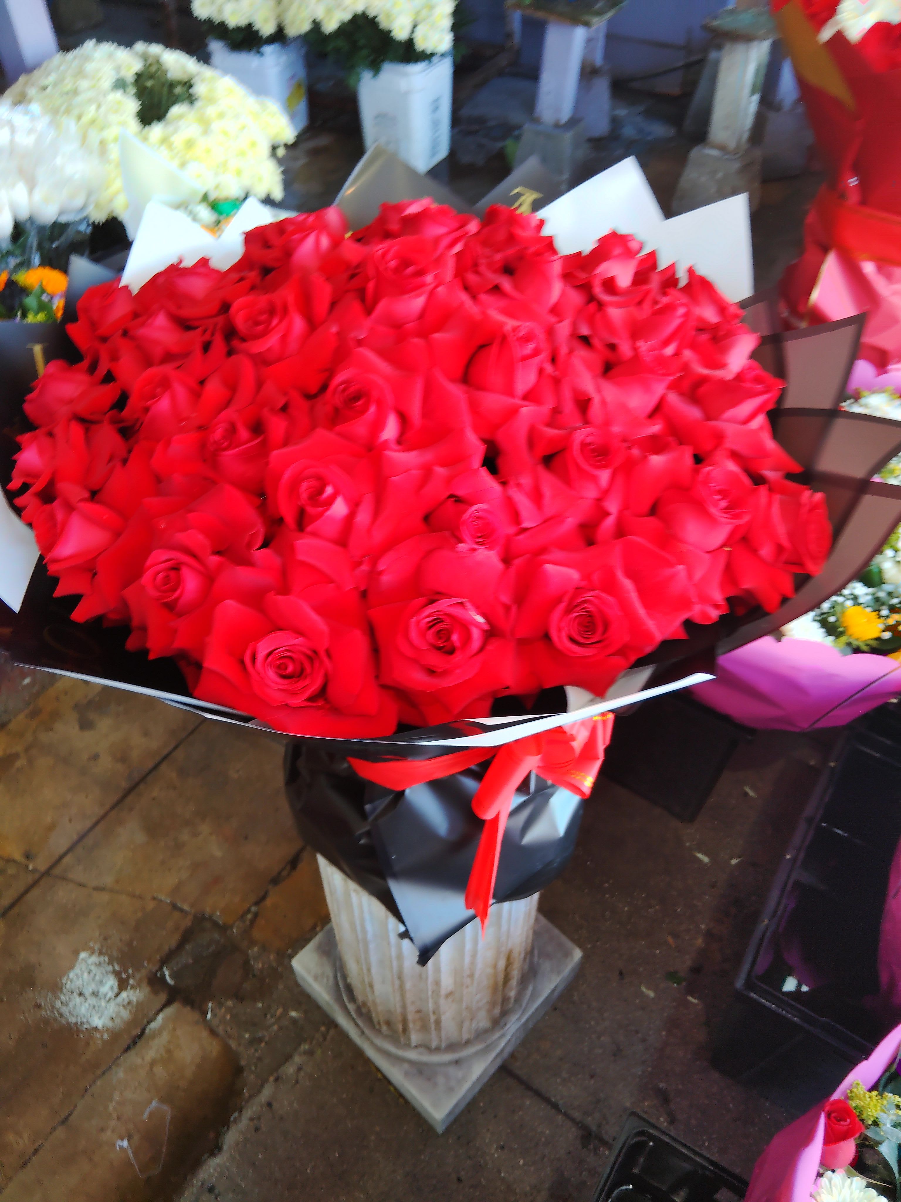 Red roses gift wrapped Red roses gift wrapped - Red roses gift wrapped