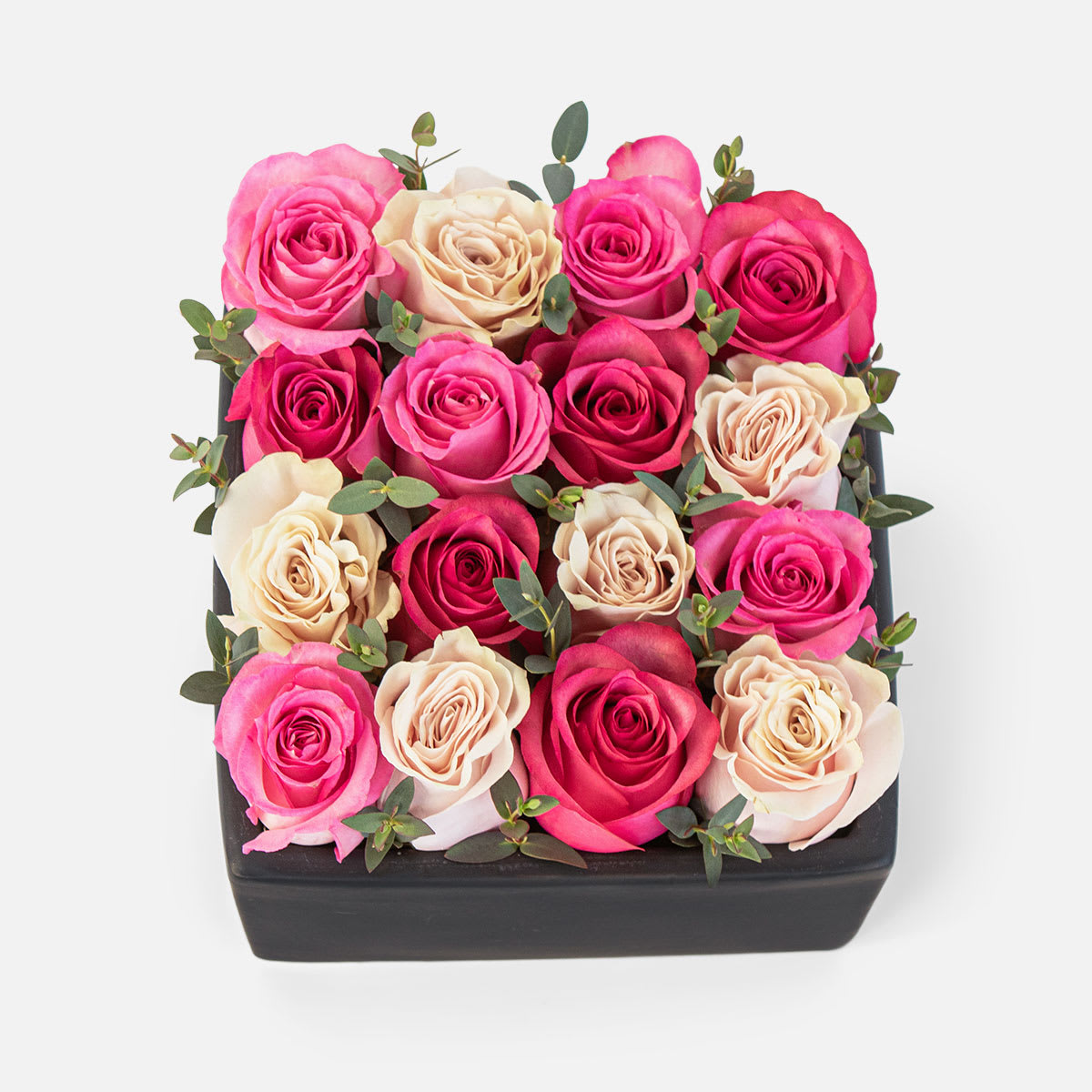 Blushing Rose Garden - [ Height: 6&quot; | Width: 8&quot; | Length: 8&quot; ] This sweet display of roses in all shades is sure to make your sweetheart blush! 16 lovely pink roses of all shades in a black ceramic cube.  PlantShed offers same-day hand-delivery to NYC + NJ, 7 days a week. Send flowers, plants, and gifts for any occasion from Plantshed, your local Manhattan florist. 