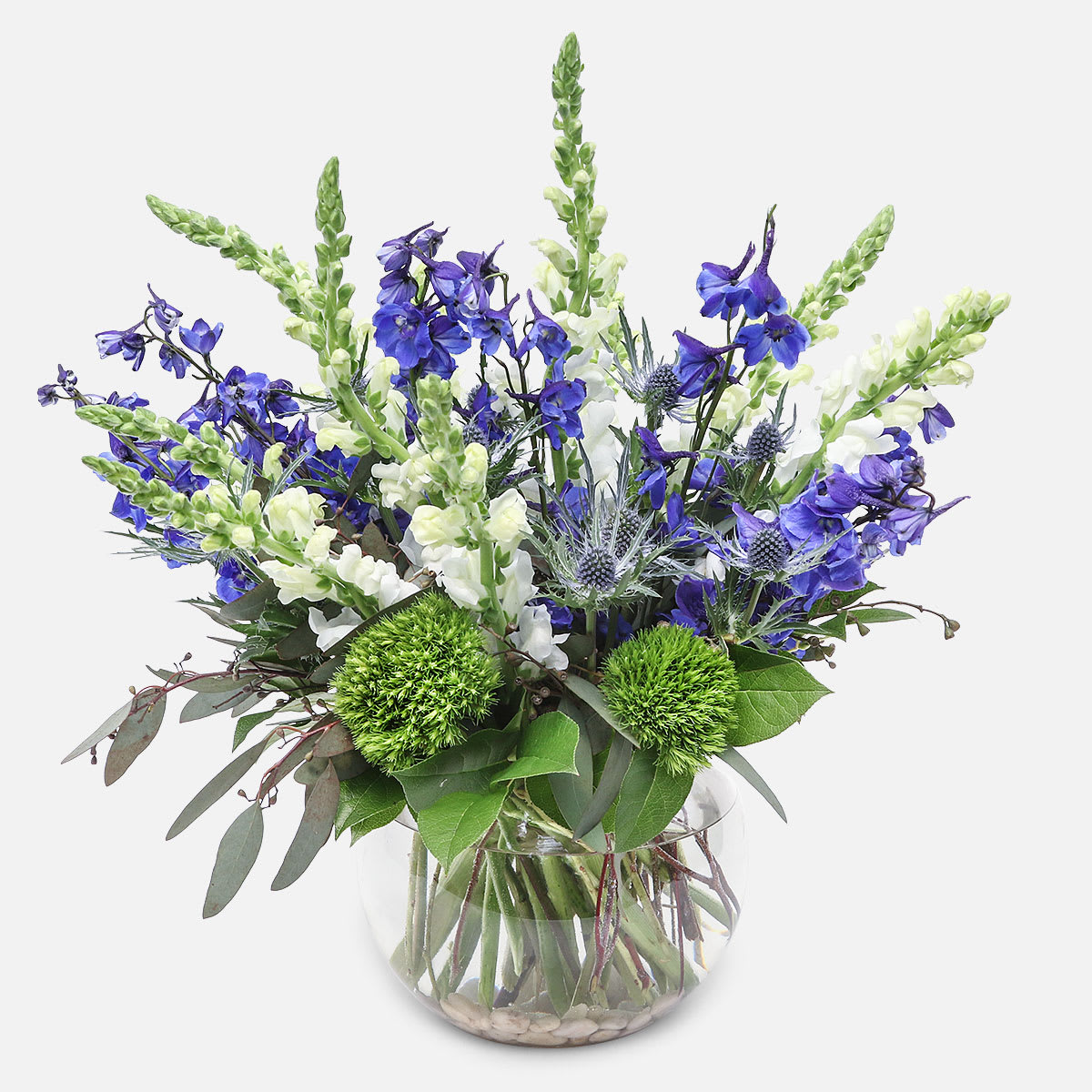Moonburst - [ Height: 19'' - 20'' | Diameter: 16'' - 17'' ] This sure-to-please arrangement is overflowing with deep blue Delphinium, bright white Snapdragons, and soft green accents.  PlantShed hand-delivers artisan flower arrangements 7 days a week, to any borough of NYC. 