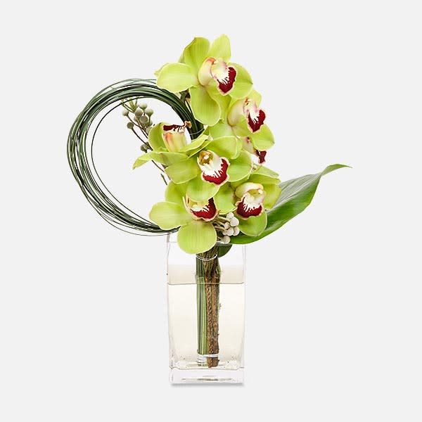 Orpheus - [ Height: 18 - 19&quot; | Width: 3&quot; ]: Aptly named after the Greek poet, the simplistic lines of this artisan arrangement will have anyone feeling special. Green cymbidium orchids, looping grasses, a delicate tropical leaf and brunia make a great impact with minimalist style.  Plantshed.com hand delivers artisan flower arrangements in NYC, seven days a week.