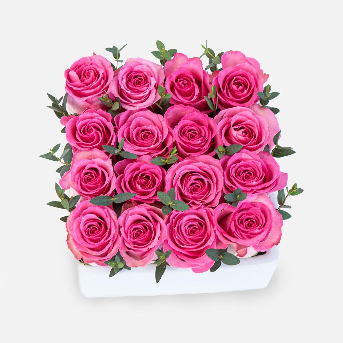 Pink Rose Garden - [ Height: 6&quot; | Width: 8&quot; | Length: 8&quot; ] A charming display of 16 pink roses delicately arranged in a white ceramic cube.  PlantShed offers same-day hand-delivery to NYC + NJ, 7 days a week. 