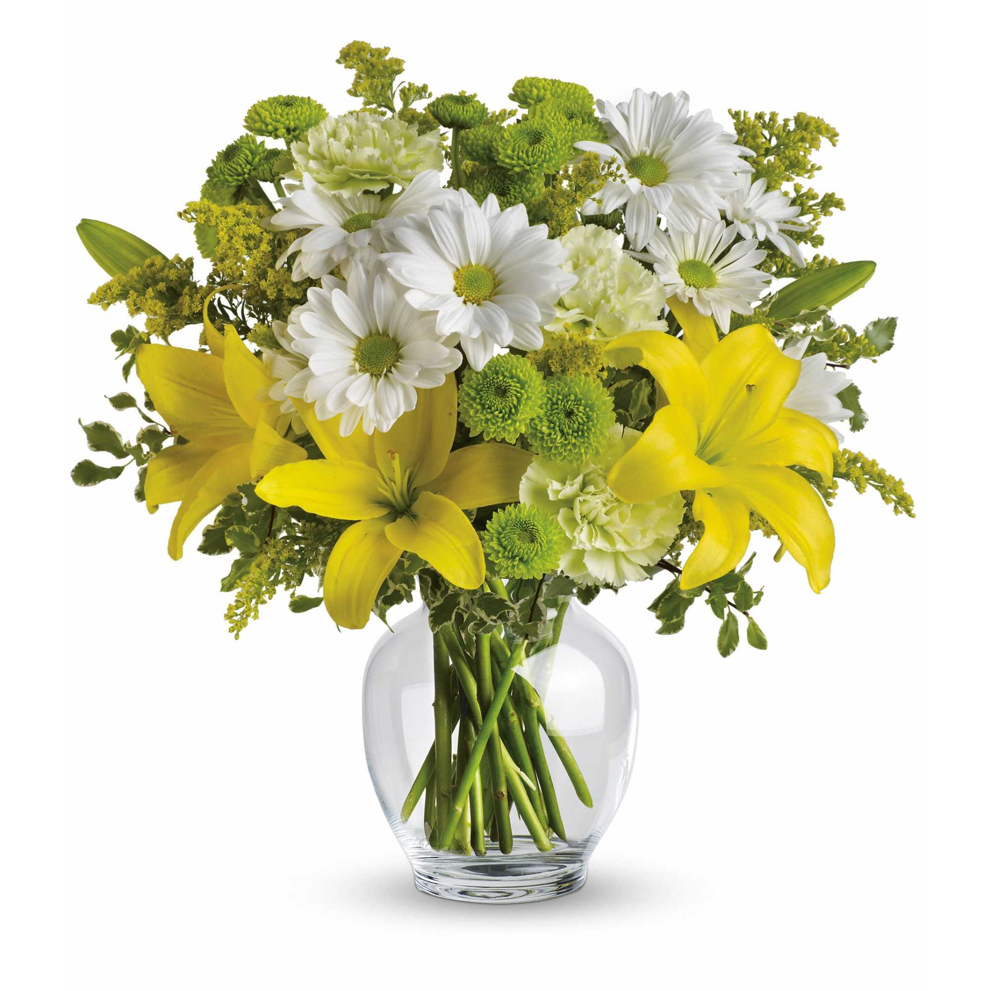 Teleflora's Brightly Blooming - Let the sunshine in with this bevy of bright blooms - yellow lilies, green carnations and other sunny favorites beautifully arranged in a classic ginger jar. Perfect for birthday, get well, thank you - or just to say &quot;Hi!&quot; They'll love it.  