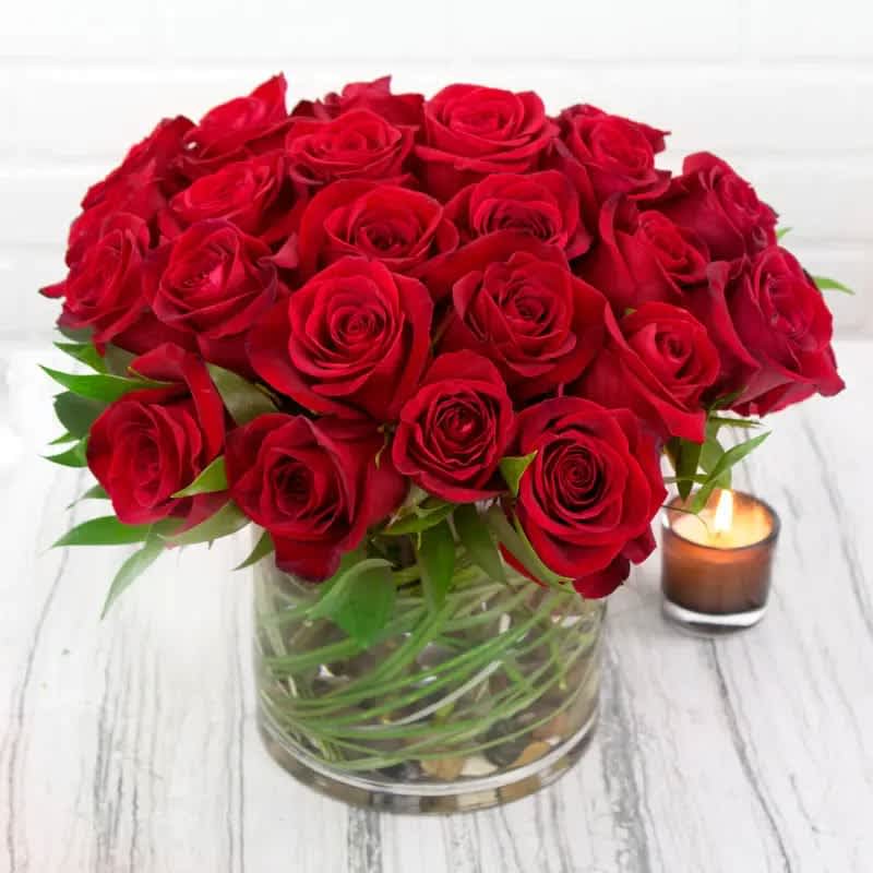 Crimson Kisses - Monthly Special  Ignite your passion for fresh aromatic florals with this arrangement of 2 dozen of a variety of South American Red Roses and garden roses in a vase. Each precious petal represents one of the countless reasons that she's the one you can't get off of your mind.  Standard: 2 Dozen Roses Deluxe: 3 Dozen Roses Premium: 4 Dozen Roses  As shown: 2 Dozen roses