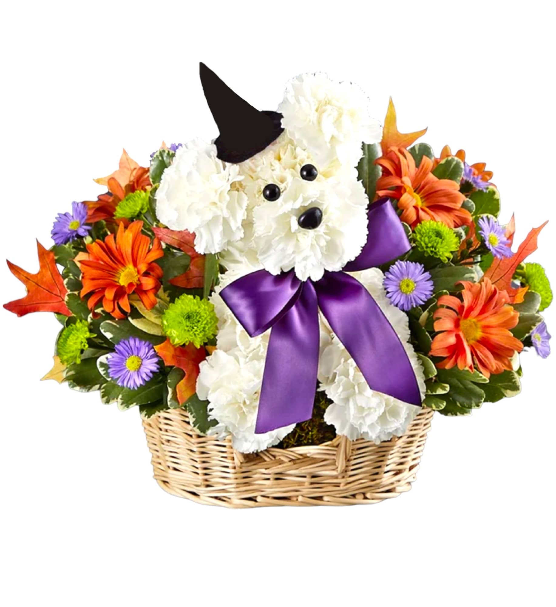 WITCHY POO FRESH FLOWER ARRANGEMENT - This fresh flower puppy will cast its spell this Halloween. Add a Happy Halloween Mylar balloon to really lift their spirits.  DETAILS Crafted with white carnations. Basket measures approx. 3.5&quot;H x 9.5&quot;W x 7&quot;D  (basket design will vary)  BASKET INCLUDED Orientation: One-Sided pup. Flowers and greenery all-around Item #NF-877  FLORIST-TO-DOOR Same day flower delivery on most orders placed online by 12 pm or 10 am on weekends PST  BLOOM DETAILS Carnations Daisy-Mums Button-Mums Filler Greenery  The Standard Arrangement is approx. 11.5&quot;H x 10&quot;W. Flower arrangement only.  The Deluxe Arrangement is approx. 11.5&quot;H x 10&quot;W. 1 mylar balloon (balloon design will vary), 1 lb. assorted wrapped candy. The Premium Arrangement is approx. 11.5&quot;H x 10&quot;W. 1 mylar balloon (balloon design will vary), 6 latex balloons,1 lb. assorted wrapped candy.  How to place an order? 1. You can place an order directly on this secure website OR 2. You can call in your order by dialing: (323) 262 - 9238 OR 3. You can visit our store (appointment recommended 323.262.9238)  NINFA'S FLOWERS 2405 WHITTIER BLVD. LOS ANGELES, CA. 90023  ATTENTION: *Please note that on busy holidays, Valentine's Day, and Mother's Day, we cannot verify if the recipient received the flowers until the following day. You can verify delivery on the website after 10:00 pm, call 323.262.9238 the following day after 10:00 am, or contact the recipient directly. Thank you for your patience and understanding.