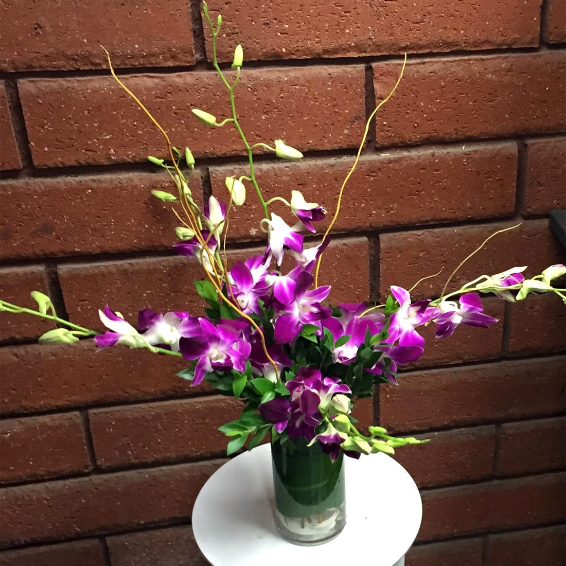 Dendrobium Bombay Purple Orchids Vase - Show your love in waves of exotic Dendrobium Orchids washed up on the shores of tropical romance. Orchids have a graceful appearance and represent love, beauty and luxury. With blossoms like bright purple butterflies, this head-turning bouquet of Bombay Dendrobium Orchids invites compliments and admiring double-takes. Regal and long-lasting, the blooms are the perfect gift for an elegant person with upscale tastes. Standard size is approximately 8in (W) x 16in (H). Deluxe and Premium versions are larger and feature more Orchids.  Standard – 5 Stems of Purple Dendrobium Orchids, Fresh Garden Greens, Curly Willow Branches, Seashells - Cylinder Vase  Deluxe – 10 Stems of Purple Dendrobium Orchids, Fresh Garden Greens, Curly Willow Branches, Seashells - Cylinder Vase  Premium – 20 Stems of Purple Dendrobium Orchids, Fresh Garden Greens, Curly Willow Branches, Seashells - Cylinder Vase  Care Tips: Place your bouquet in a cool location. Don't put the arrangement in direct sunlight, near heating or cooling vents, in drafty places, directly under ceiling fans, or on top of televisions or radiators. Check water level daily, keep the vase full with clean water. Change water every 2-3 days and apply a sharp fresh cut to the stems. This process will insure extended flower's life span.