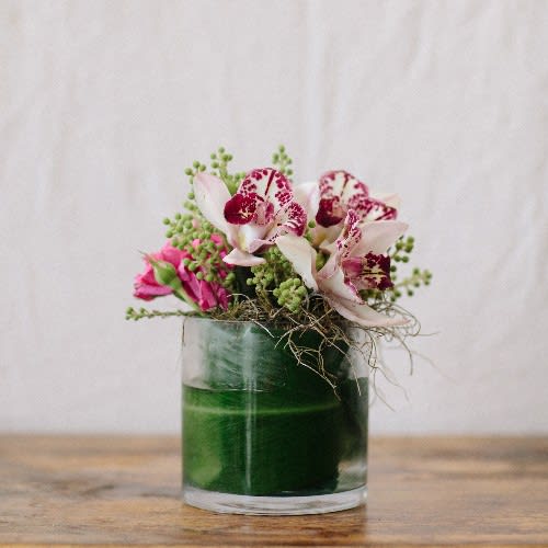 Blushing Orchids - Elegant cymbidum orchids are showcased in a cylinder vase, accompanied by spray roses and accented with a Hawaiian ti leaf.  This arrangement makes also makes an excellent centerpiece. The Standard size is presented in a 4&quot;x4&quot; cylinder.