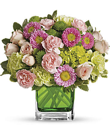 Make Her Day by Teleflora - This sweet bouquet includes green miniature hydrangea and light pink spray roses arranged in our citrus green glass cube. Includes green miniature hydrangea, light pink spray roses, green carnations, pink miniature carnations, pink matsumoto asters and green button spray chrysanthemums accented with assorted greens. Delivered in Teleflora's glass citrus cube. Orientation: All-Around