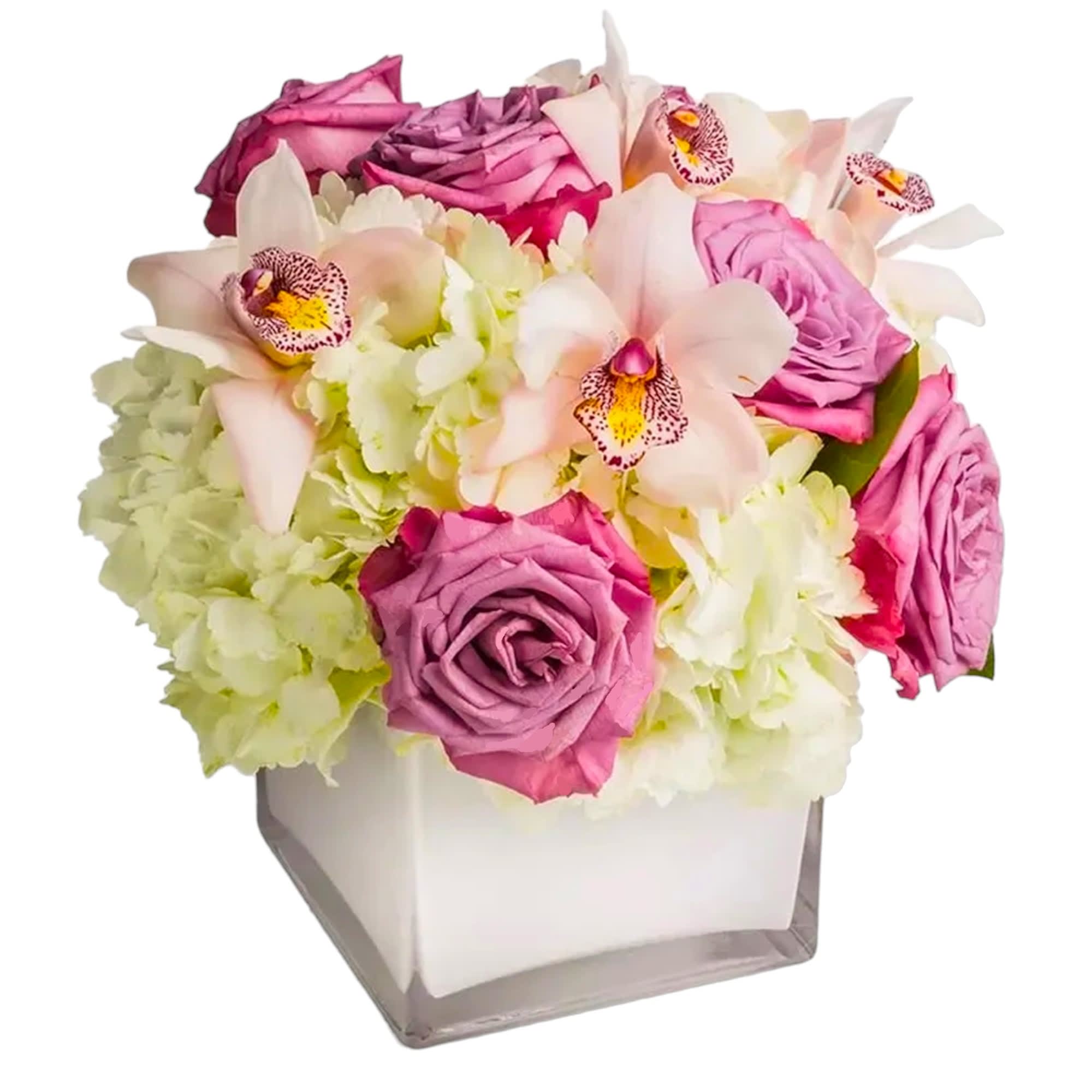 Pop of Lavender by BloomNation™ - Our most popular arrangement! Pop of Lavender by BloomNation™ is the perfect gift to wish someone a happy birthday or to say thank you.   DETAILS  FLORIST-TO-DOOR  Orientation: All-Around  BLOOM DETAILS Roses Hydrangeas Cymbidium Orchids Greenery  The Standard Arrangement is approximately 10&quot; H X 11&quot; W. (SHOWN) The Deluxe Arrangement is approximately 10.5&quot; H X 11.5&quot; W.  The Premium Arrangement is approximately 11&quot; H X 12&quot; W.   Designed by our award-winning florist designers.  HOW TO CARE FOR YOUR FLOWERS 1. Keep in a location without direct sunlight and away from extreme heat or cold. 2. Replace the water regularly, and mix in the flower food packet provided 3. Trim the stems every other day 4. As flowers/foliage wilt, remove &amp; discard  Please Note: The arrangement pictured reflects an original design for this product. While we always do our best to follow the original flower recipe, the exact flower or container is sometimes unavailable. We may replace items of equal or greater value to deliver the freshest flowers possible while keeping the style &amp; color palette. We assure you that we will create a beautiful, fresh flower arrangement with only the best quality flowers to keep you as a loyal customer.  How to place an order? We have several options. 1. You can place an order directly on this secure website. 2. You can call in your order by dialing: (323) 262 - 9238 3. You can visit our store (appointment recommended 323.262.9238)  NINFA'S FLOWERS 2405 WHITTIER BLVD. LOS ANGELES, CA. 90023  ATTENTION: *Please note that on busy holidays, Valentine's Day, and Mother's Day, we cannot verify if the recipient received the flowers until the following day because our drivers don't turn in their signature delivery tablets until the following day. You can verify delivery on the website after 10:00 pm or you can call 323.262.9238 the following day after 10:00 am. Thank you for your patience and understanding. 