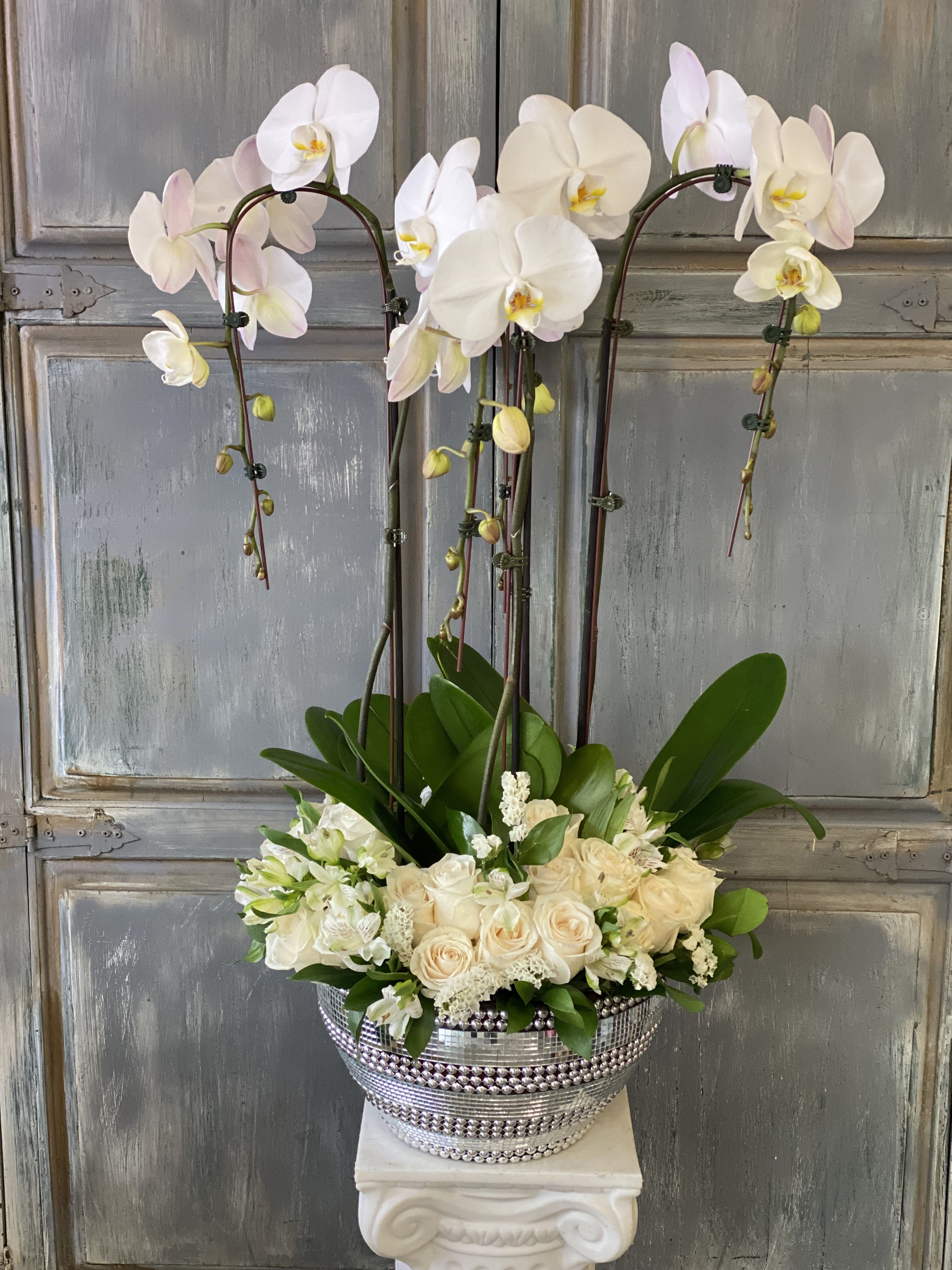 Royal Purity - This is an exquisite and unique arrangement of Vendela roses and cascading white Phalaenopsis orchids.  Although it is hard to tell how long the roses will last, however the orchids will continue to bloom and brighten the day of that someone special receiving this masterpiece.