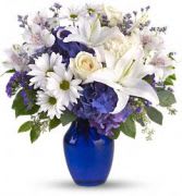 Beautiful Blue Arrangement Beautiful Blue Arrangement - Brighten the home with the peace and beauty of a bright blue sky. This beautiful bouquet pairs pure white flowers with deep blue blooms in a gorgeous blue glass vase.