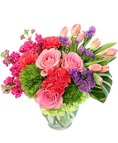 Blossoming Melody - 6&quot; clear ginger vase variegated pittosporum aspidistra leaves 3 stems hot pink stock 1 green hydrangea 10 pink tulips 3 hot pink carnations 2 green trick dianthus 3 pink roses 1 stem purple statice  Copyright Flower Shop Network