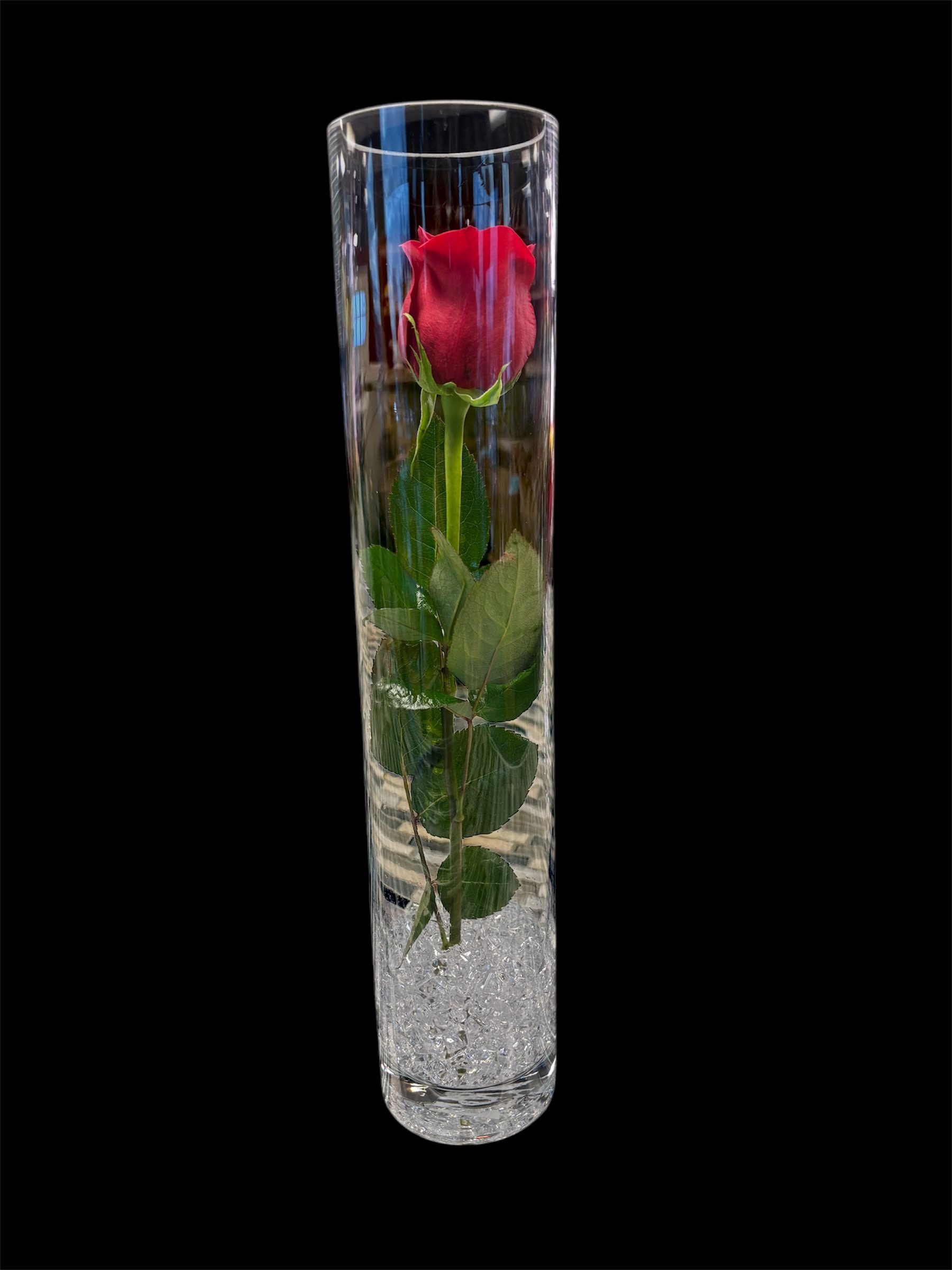 Beauty and The Beast Rose  - Introducing the exquisite Real Rose Preserved - a timeless symbol of love, inspired by the iconic tale of Beauty and the Beast. This enchanting rose, carefully preserved to maintain its natural beauty, serves as a lasting reminder of enduring love and romance. Perfect for any special occasion, it adds a touch of magic and elegance to any setting