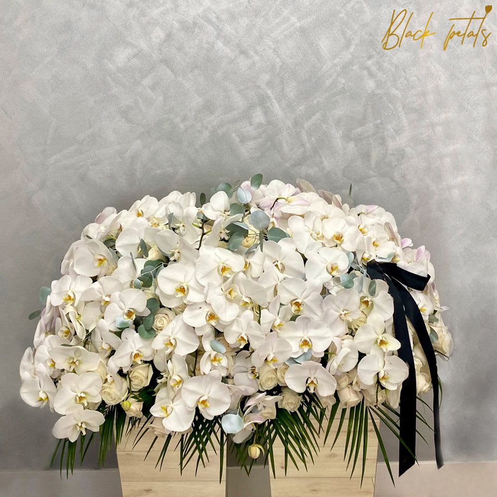 Orchid Heaven Casket Cover BP Sympathy Orchid Heaven Casket Cover BP Sympathy - In honoring the cherished memories of grandparents, wife, son, brother, sister, father, and husband, the Orchid Heaven Casket Cover BP Sympathy provides a fitting tribute. With delicate orchids adorning each arrangement, this floral display captures the essence of love and remembrance. Whether bidding farewell to a beloved grandmother or expressing gratitude for the presence of a devoted husband, each bloom symbolizes the enduring bond shared with those we hold dear. The Orchid Heaven Casket Cover BP Sympathy serves as a poignant reminder of the cherished moments and profound impact they had on our lives, offering solace and comfort during this time of loss. DISCLAIMER: FRESH FLOWERS: These are fresh-cut flowers and are perishable. Please follow care instructions in Care & Handling