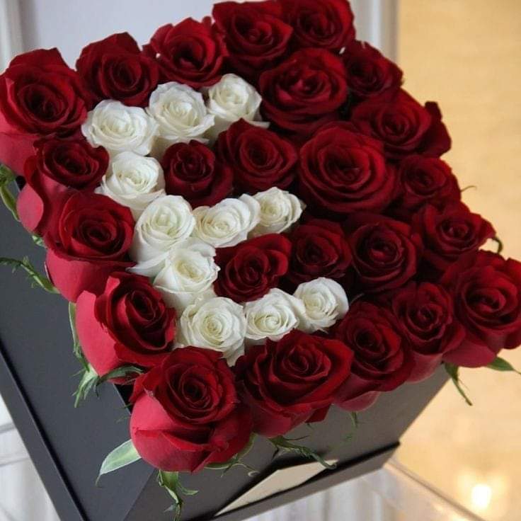 caja inicial - caja de rosas rojas ye inicial de rosas blancas