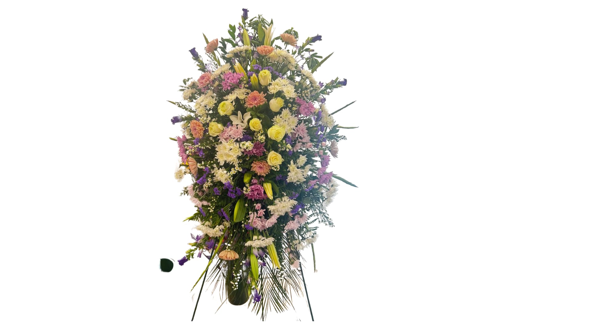 Serenity Floral Funeral Serenity Floral Funeral - This elegant funeral arrangement combines the timeless beauty of roses, the purity of lilies and the warmth of carnations. Designed with soft and harmonious tones, it is a tribute full of peace and love to honor the memory of a loved one. His presence conveys comfort and hope in the most difficult moments, offering a farewell message full of respect and admiration.