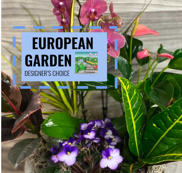 European Garden D/C  European Garden D/C  - A mix of 4" Bloomers and Green Plants in a basket or dish!