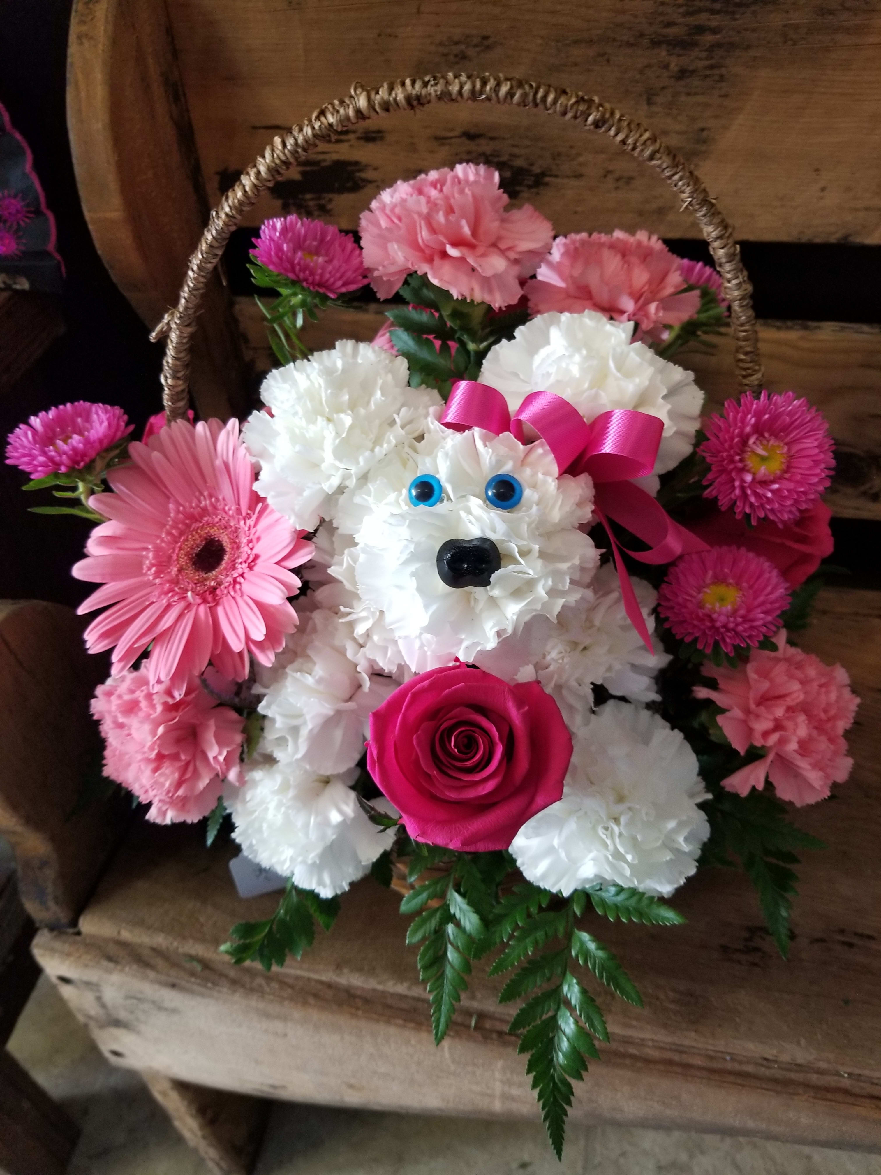  WILL YOU BE MINE?  &quot; BAYLEE &quot; - WHO COULD SAY NO TO THIS CUTTIE PIE?  YOU NEED OUT OF &quot;THE DOG HOUSE  OR JUST WANT TO PUT A SMILE ON SOMEONES FACE AND BRIGHTEN OP THE  DAY Carnation puppy dog in basket with mixed flowers ONE OF OUR BEST SELLERS!