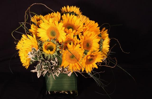 Classic Sunflowers - Sunflowers arranged in a cube