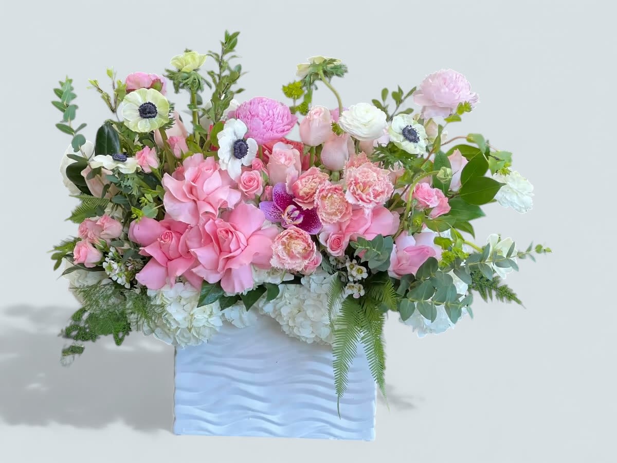 Pink lady - Beautiful flowers mix colors 